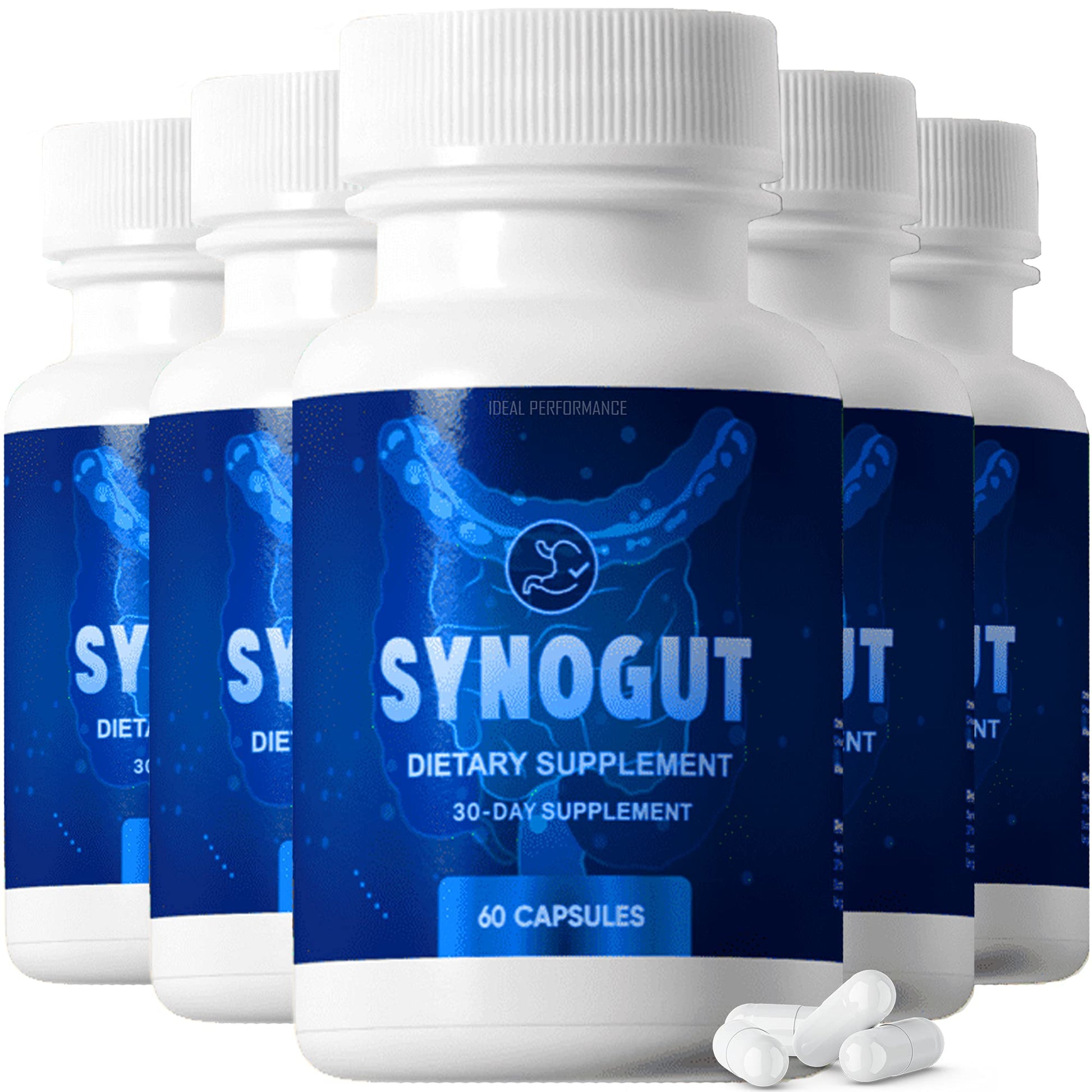 IDEAL PERFORMANCE Synogut Capsules 300 Count