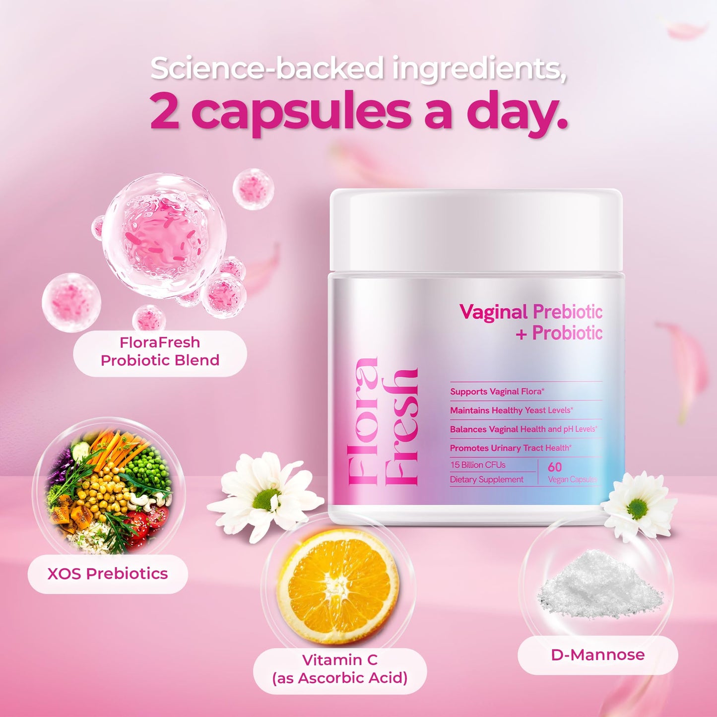 Wellness Nest Vaginal Probiotics for Women Vaginal Health, Prebiotic + Probiotic, 15 Billion CFUs, 60 Capsules