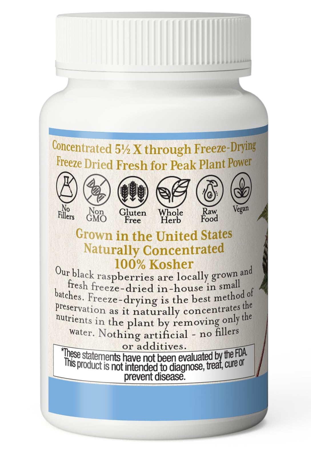 Eclectic Institute Raw Fresh Freeze-Dried Non-GMO Black Raspberry Capsules, 50 Count