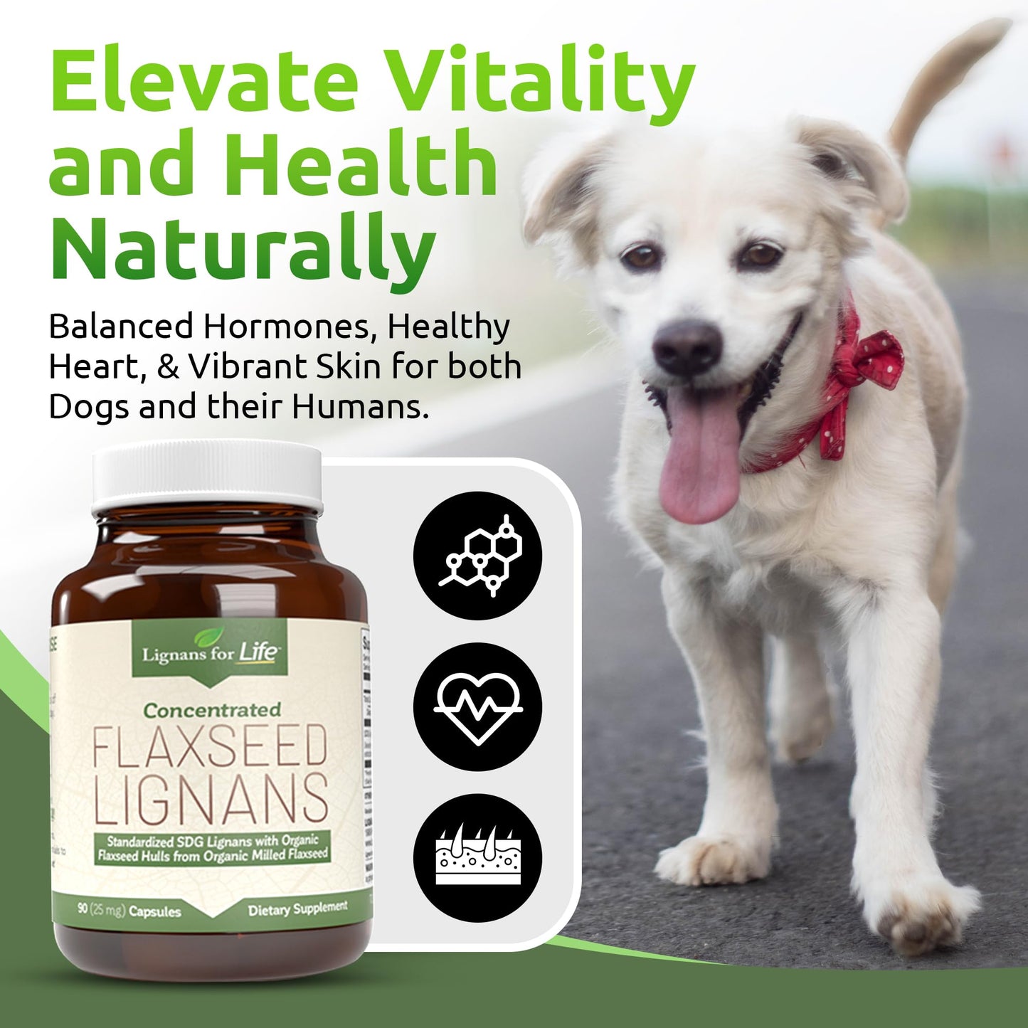 Lignans For Life Flaxseed and SDG Capsule 1 Pack