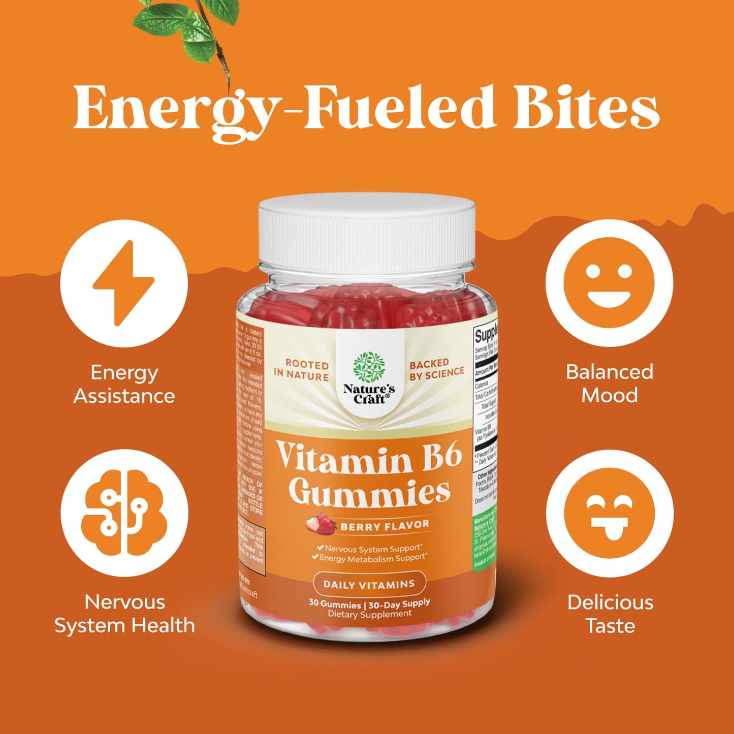 Natures Craft Digestive Enzymes with Ox Bile for No Gallbladder and Vitamin B6 Gummies Bundle, 120 Count