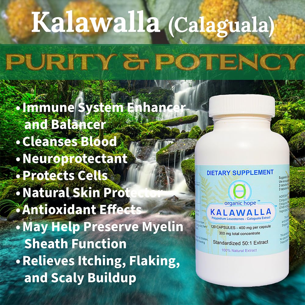 Kalawalla Organic Hope with Polypodium Leucotomos for Immune System Support, Highest Potency 50:1 Extract Ratio 400mg, Capsule, 360 Capsules