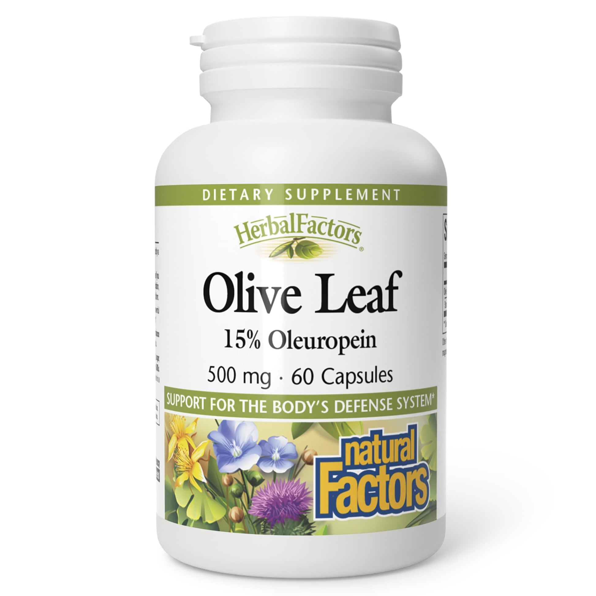 Natural Factors Olive Leaf 500 mg Natural Wellness Formula Capsules, 60 Count