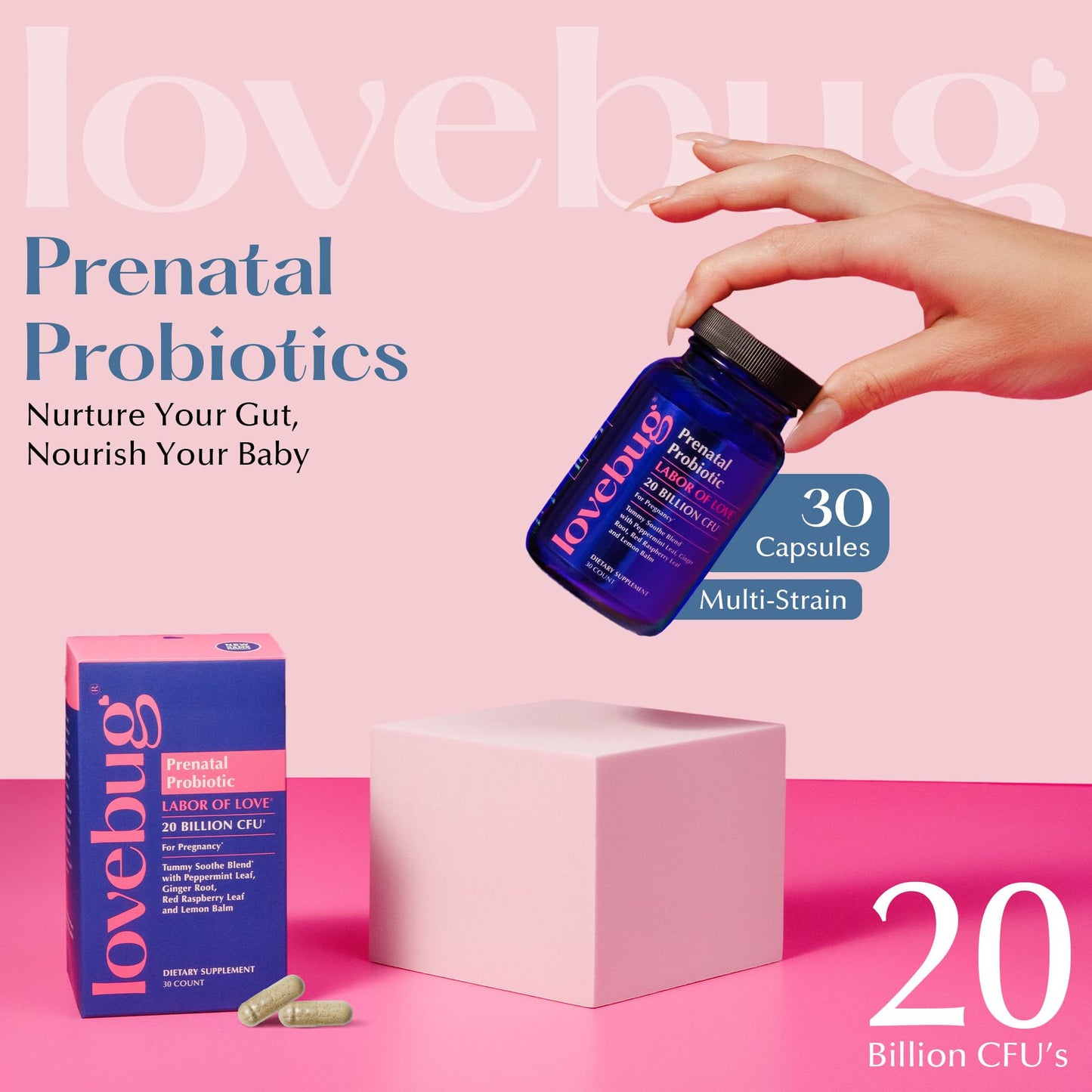 LOVEBUG Prenatal Probiotic Capsule, Multi-Strain 20 Billion CFU, 30 Count