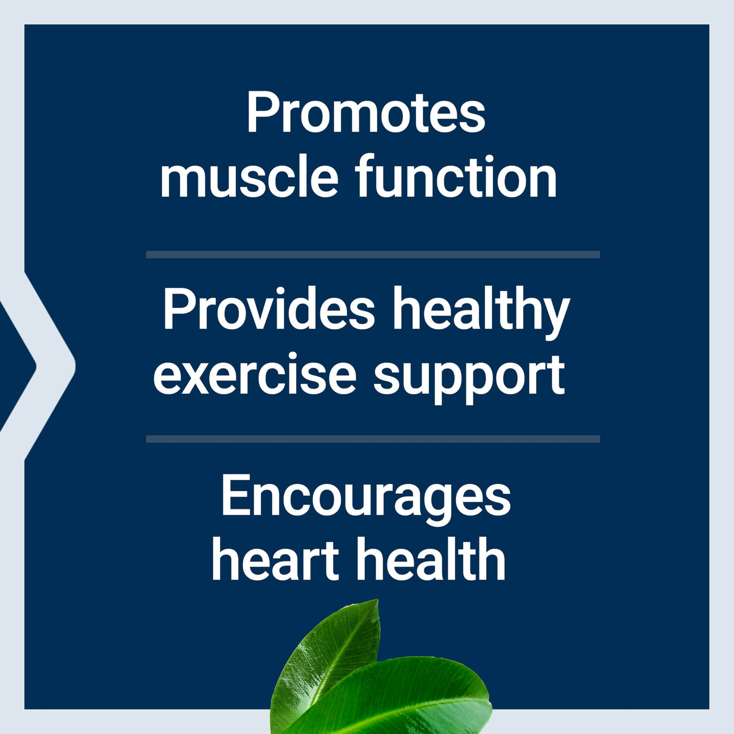 Life Extension Super Carnosine Capsules 60 Count