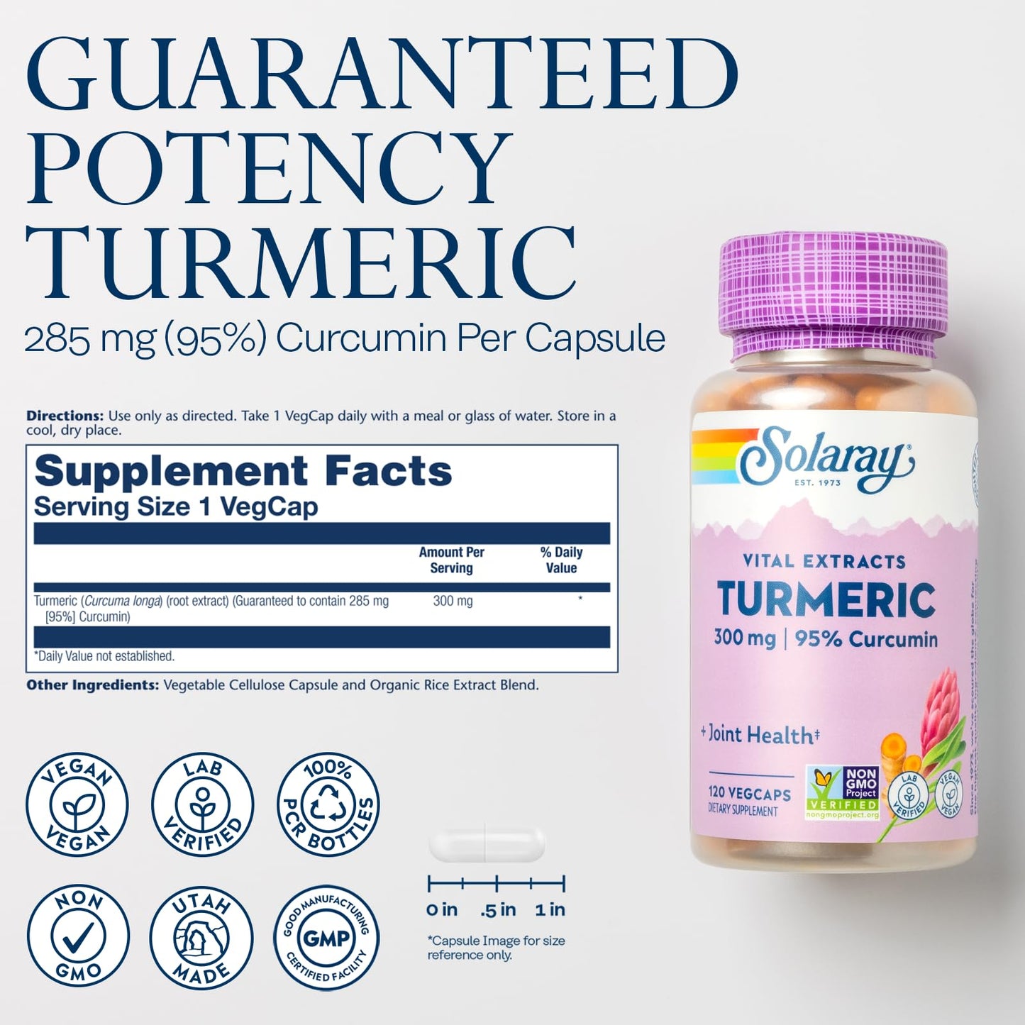Solaray Turmeric Supplement Capsule 300 mg Turmeric Root Extract with 95% Curcumin, 120 Capsules