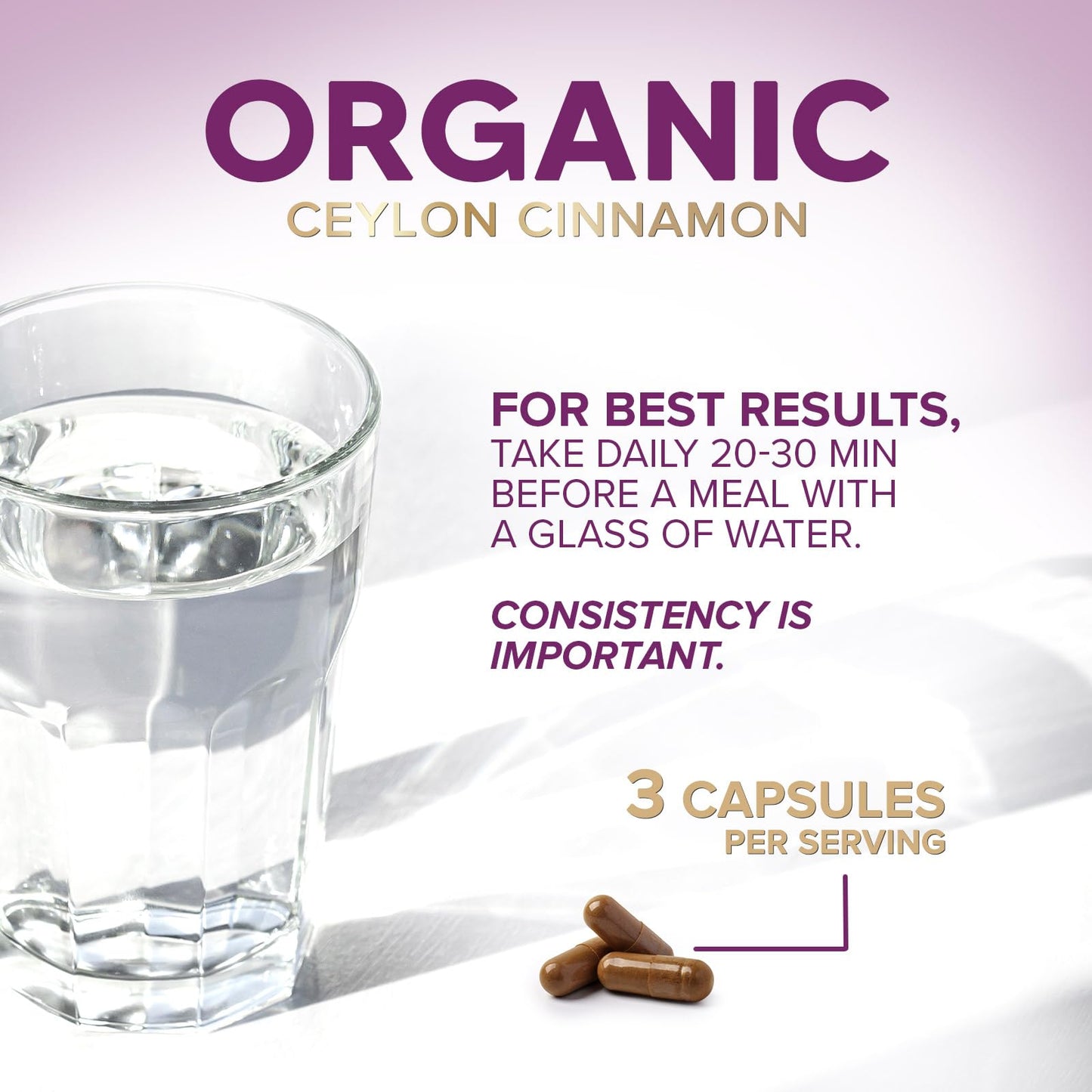 Nature's Choice Ceylon Cinnamon Capsules 60 Count