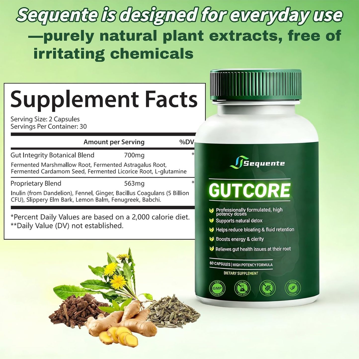 Glowrizon Sequente GutCore Max Strength Gut Drainage Capsules 60 Count