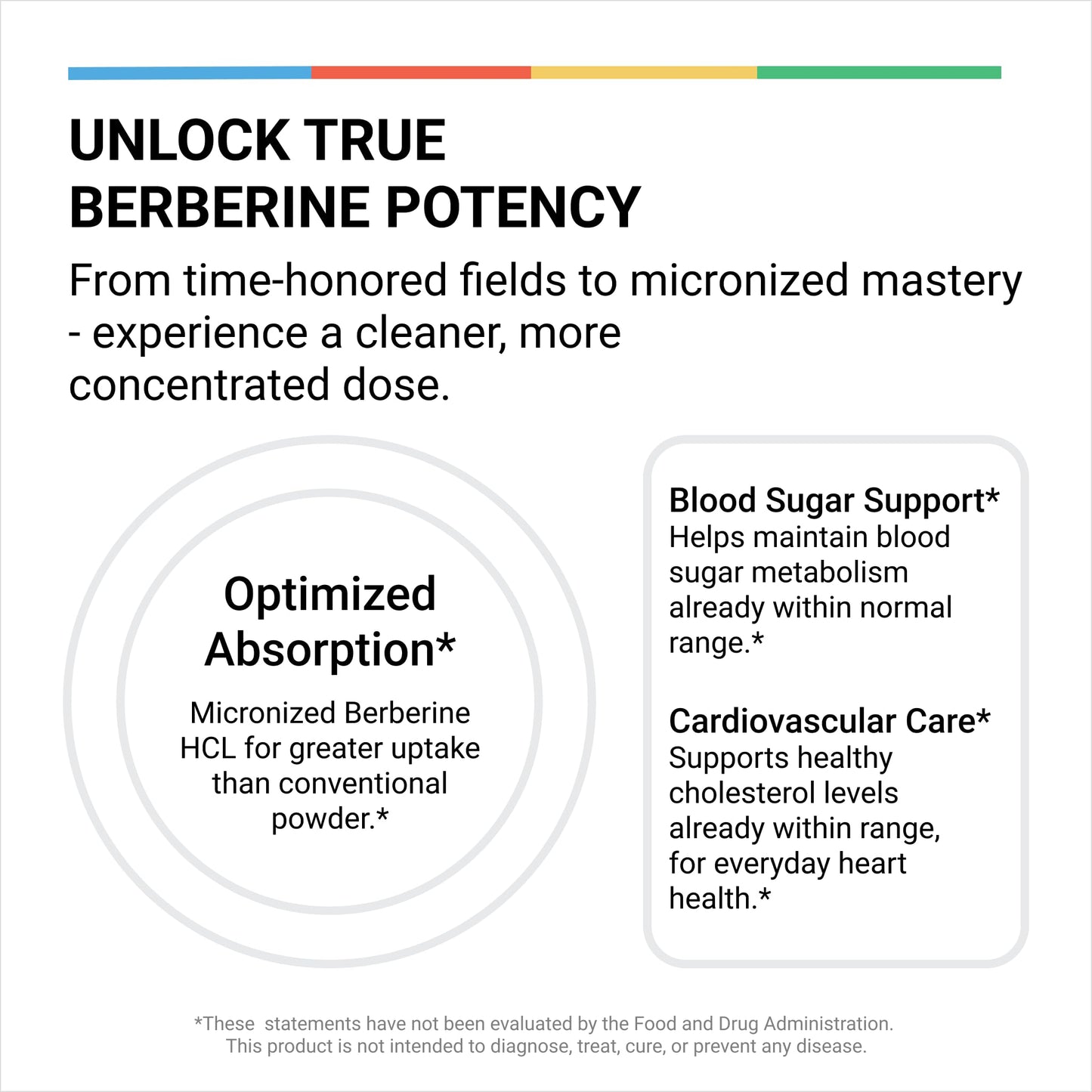 LivingRock Berberine HCL 1200mg with Ceylon Cinnamon Capsules, 90 Count