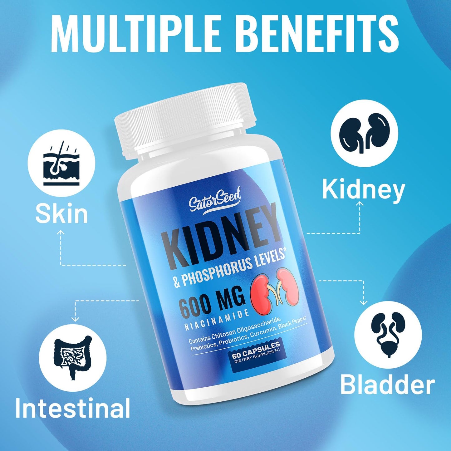 SatorSeed Kidney Support Supplement – Kidney Cleanse Detox with 600mg Niacinamide & Chitosan Oligosaccharides – Phosphorus-Conscious Formula – Vegetarian Capsules, 120 Capsules