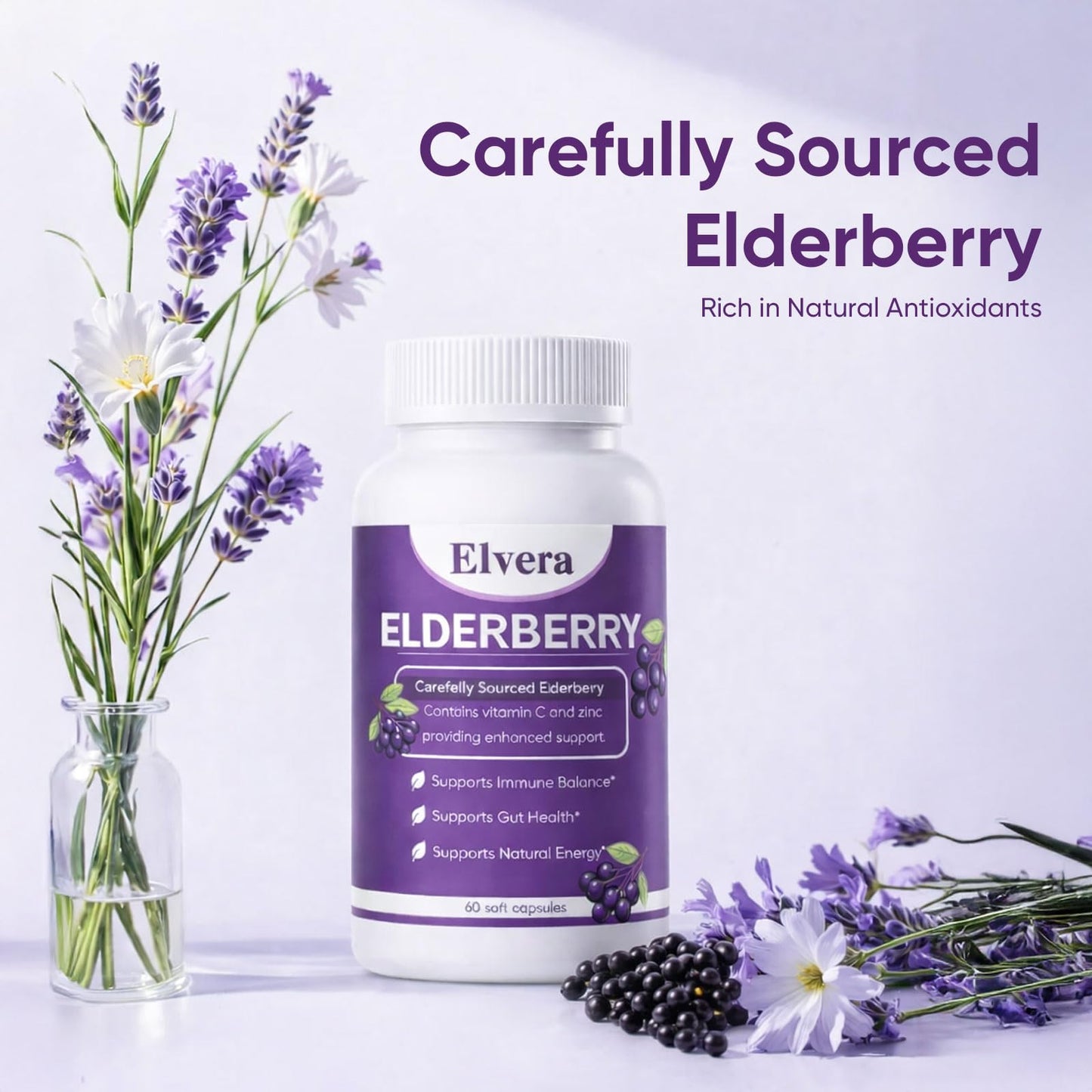 ELVERA Elderberry Gut Support Capsules 60 Count