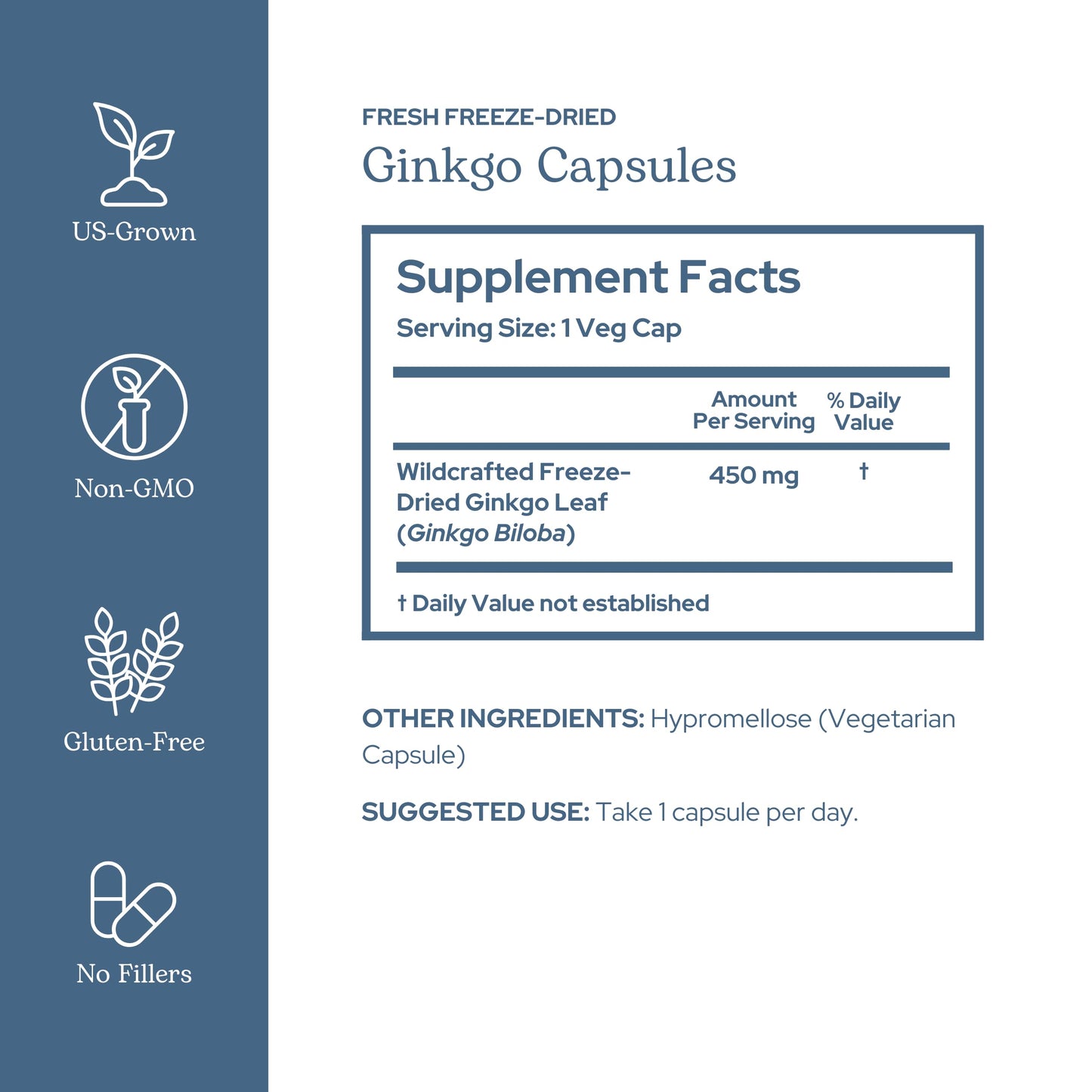 ECLECTIC INSTITUTE Ginkgo Biloba Capsules 90 Count