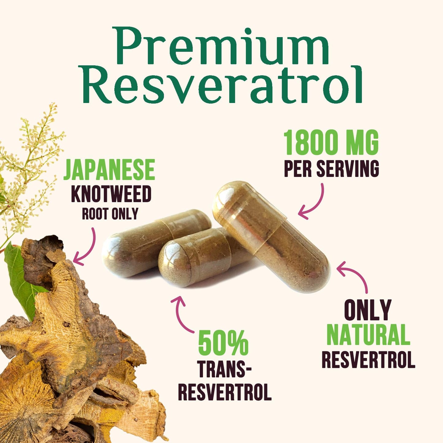 Nature's Nutrition Resveratrol Supplement Capsule 120 Count