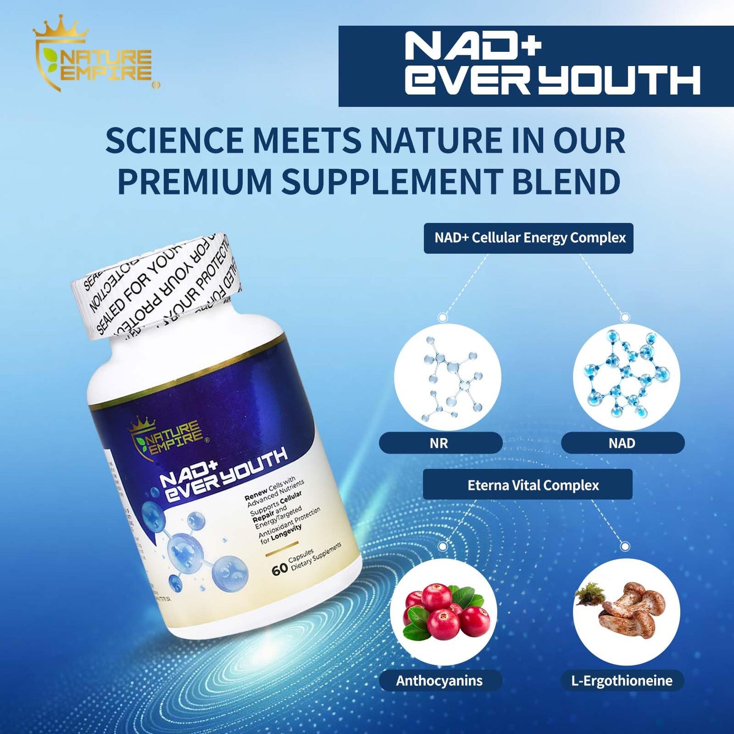 NATUREMPIRE NAD+ Supplement for Cellular Renewal Anti-Aging 4-in-1 with L-Ergothioneine, Nicotinamide Riboside (NR), European Bilberry, Antioxidant Support for Energy & Aging, 60 Capsules