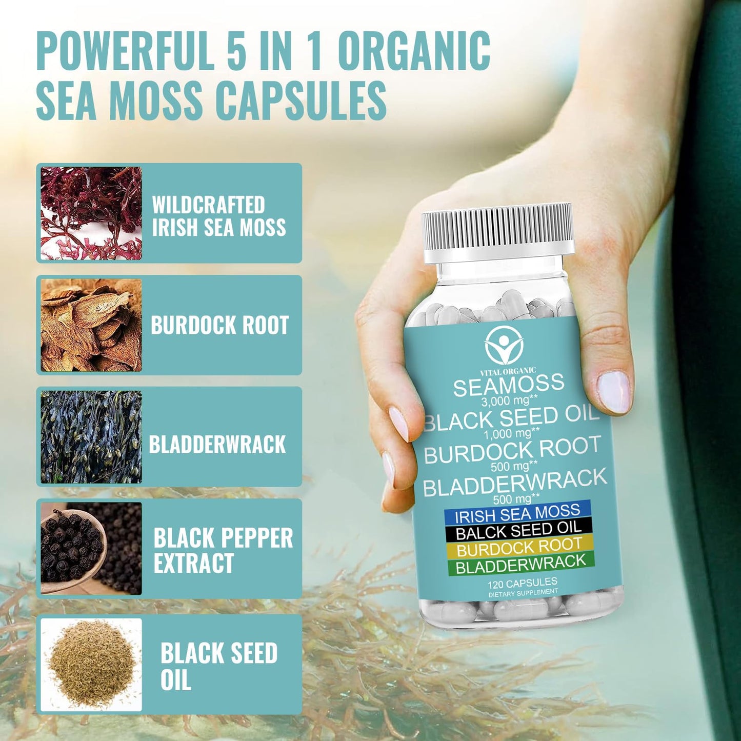 VitalOrganic Organic Sea Moss, 120 Capsules