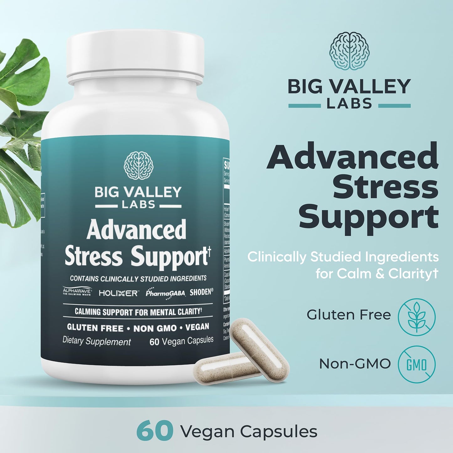 Big Valley Labs Advanced Stress Support Capsules, 60 Count