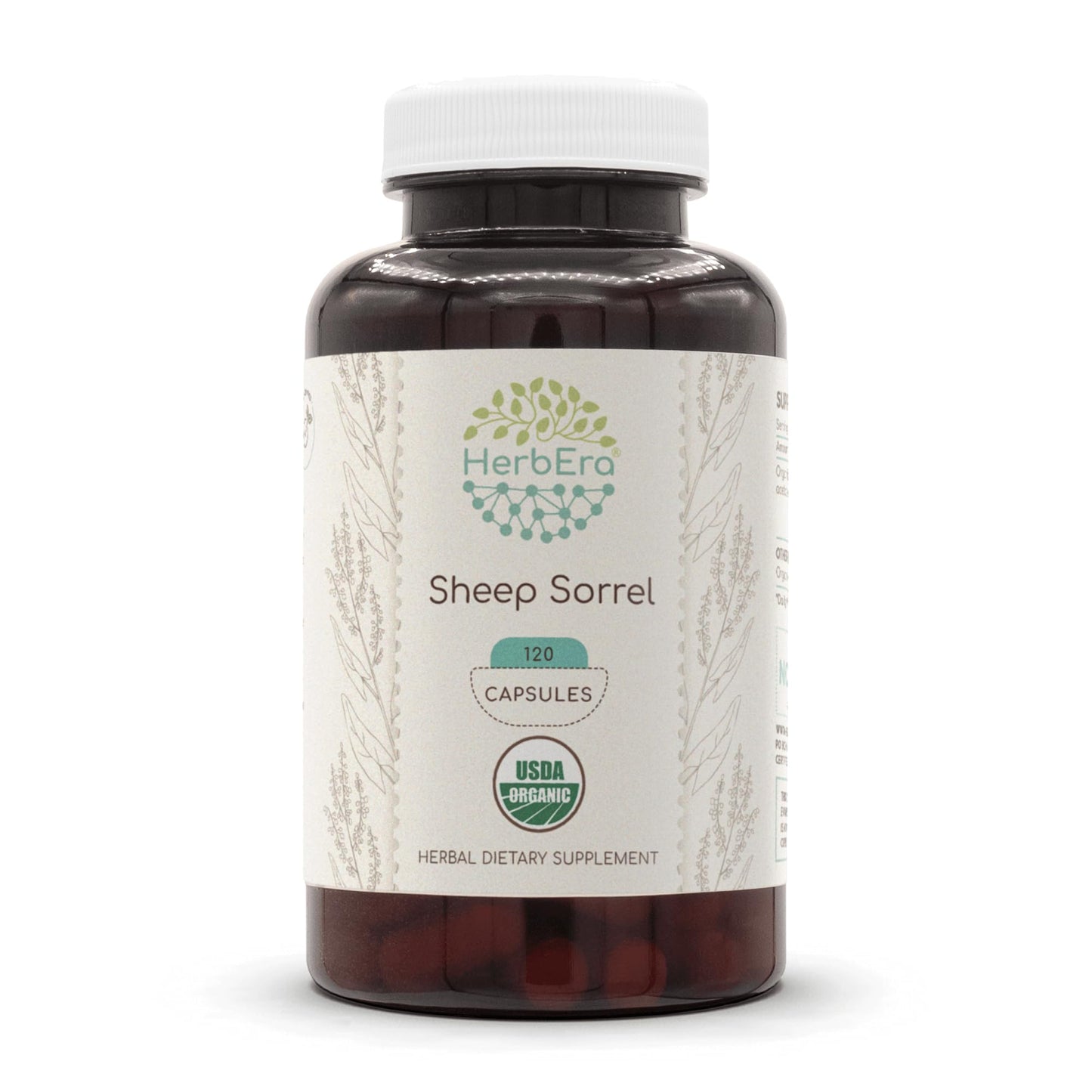 HerbEra Sheep Sorrel Capsules, 500 mg, 120 Count