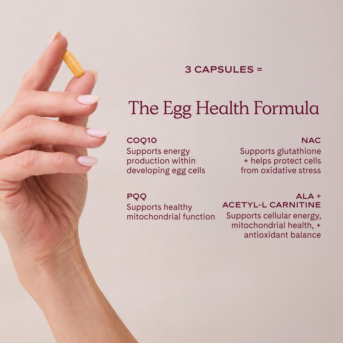WeNatal Egg Quality+ Supplement Capsule, 90 Capsules