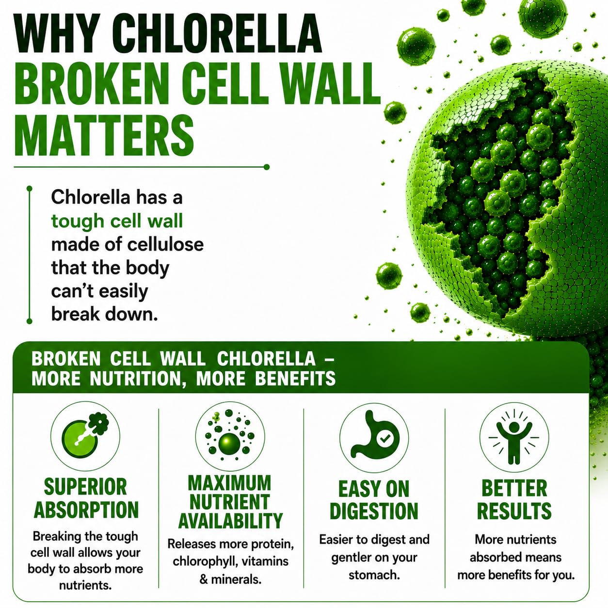 HCL HERBAL CODE LABS Chlorella 3000 mg Cracked Cell Wall Blue-Green Algae Capsule, 180 Capsules