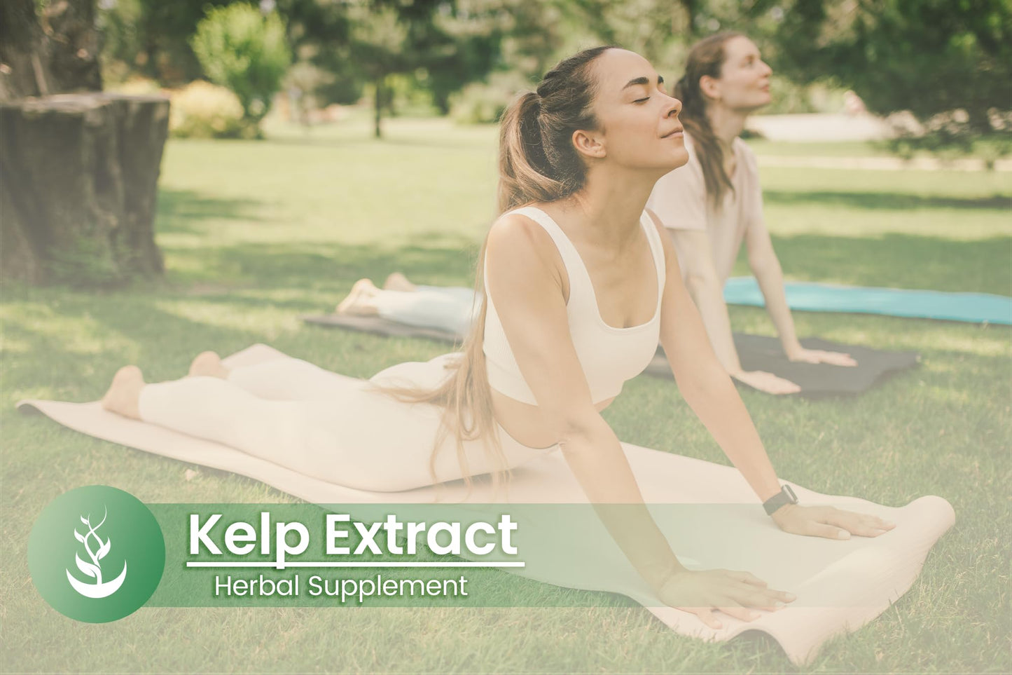 PURE ORIGINAL INGREDIENTS Kelp Extract Capsules, 100 Capsules