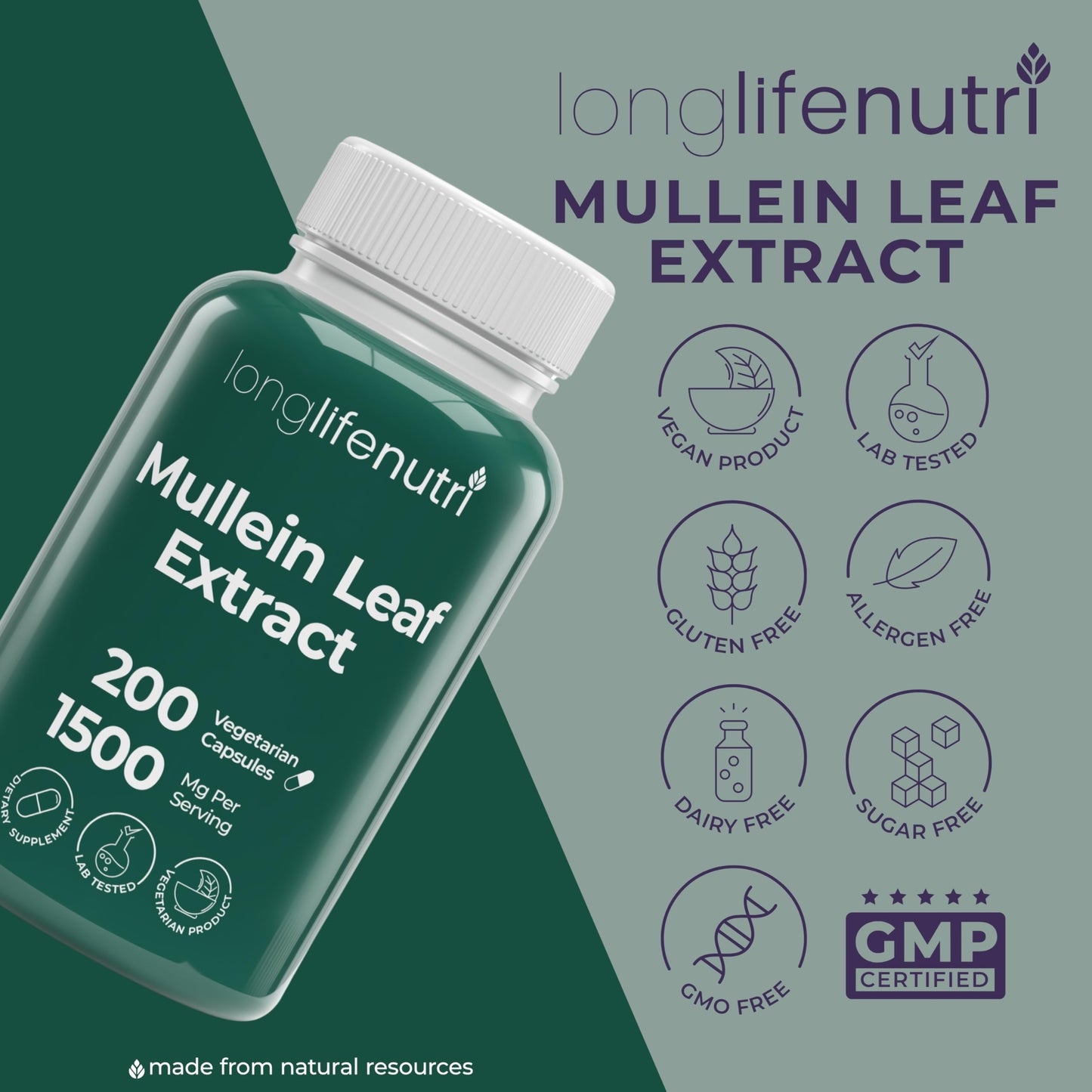 LongLifeNutri Mullein Leaf 1500mg 10:1 Extract - 200 Vegetarian Capsules