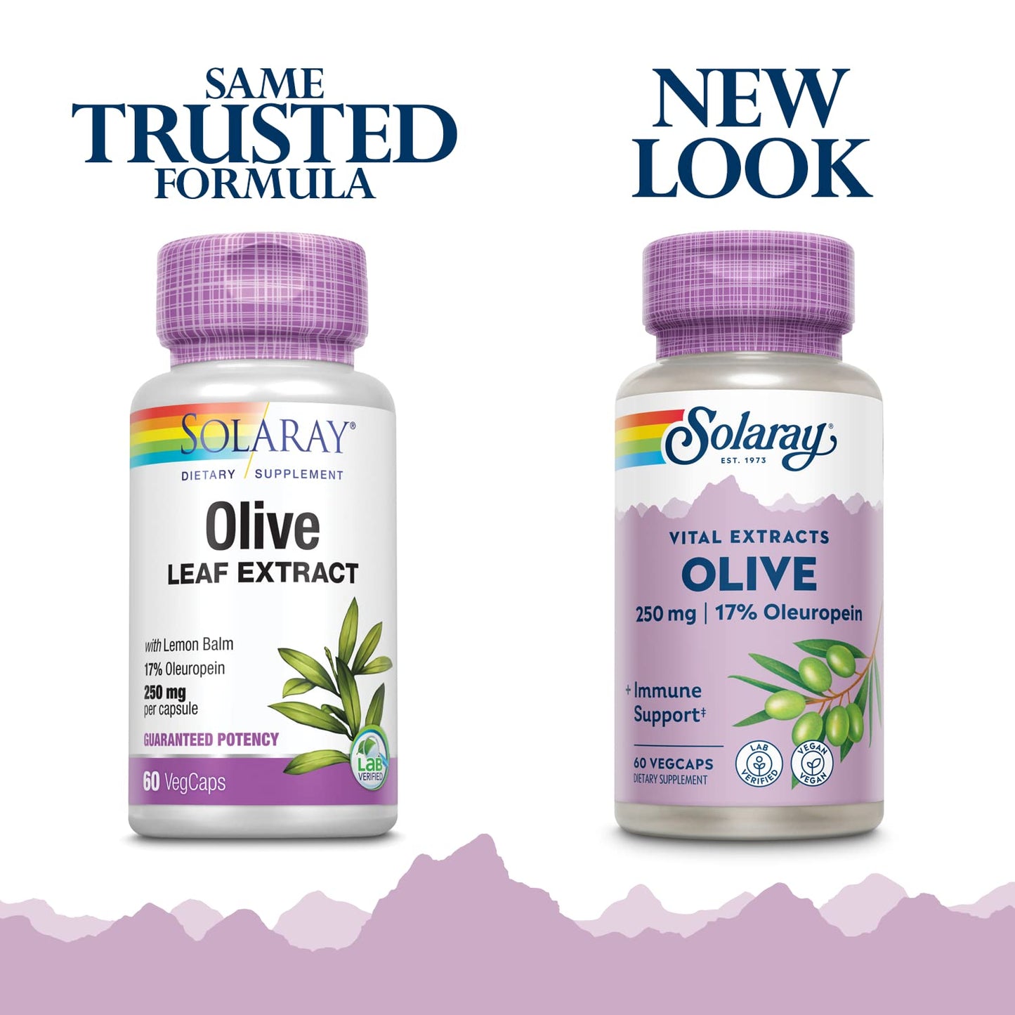 SOLARAY Olive Leaf Extract Supplement Capsule 60 Count