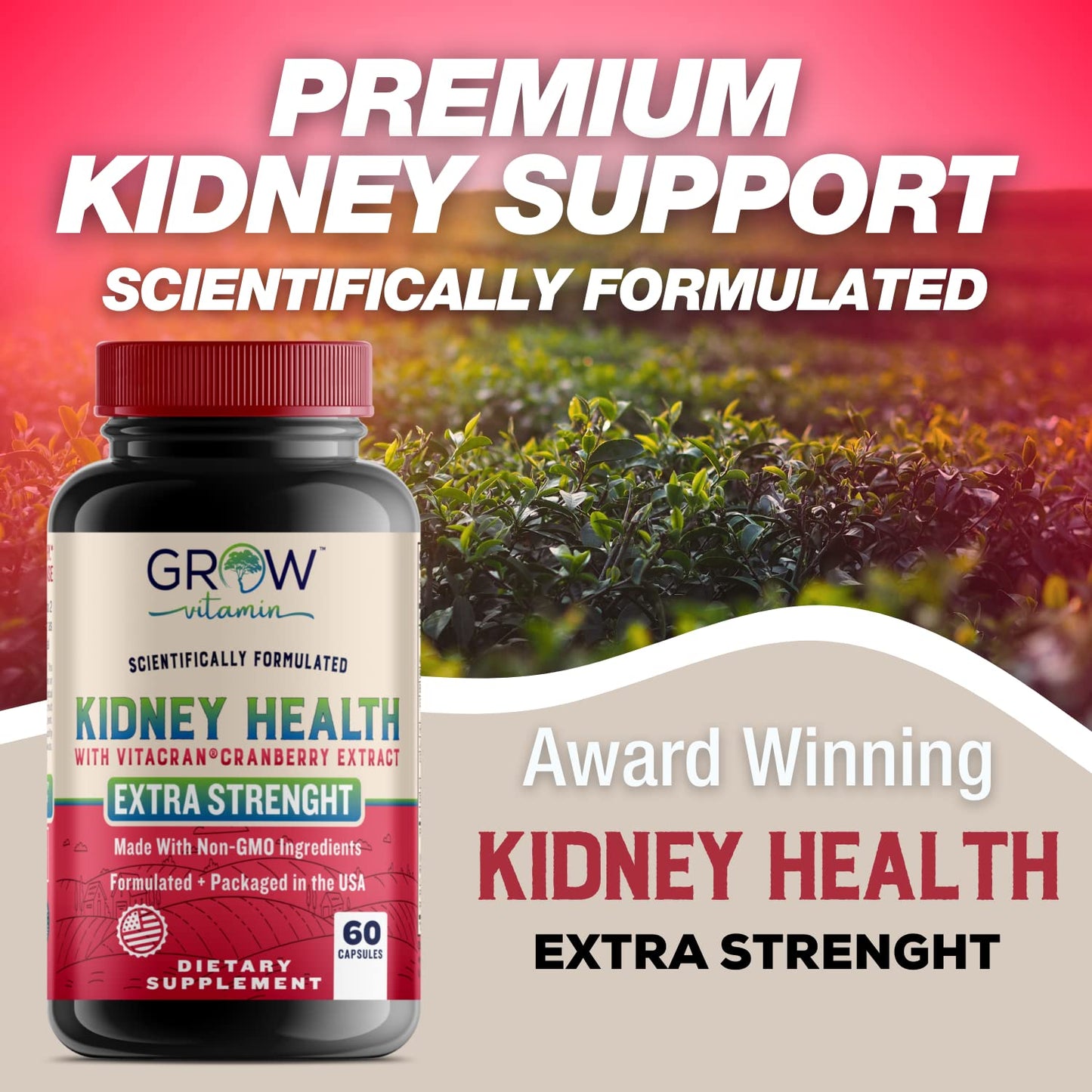 Grow Vitamin Premium Kidney Cleanse Supplement – Powerful Kidney Support Formula with Cranberry Extract Helps Support Healthy Kidneys & Urinary Tract Support, 60 Capsules