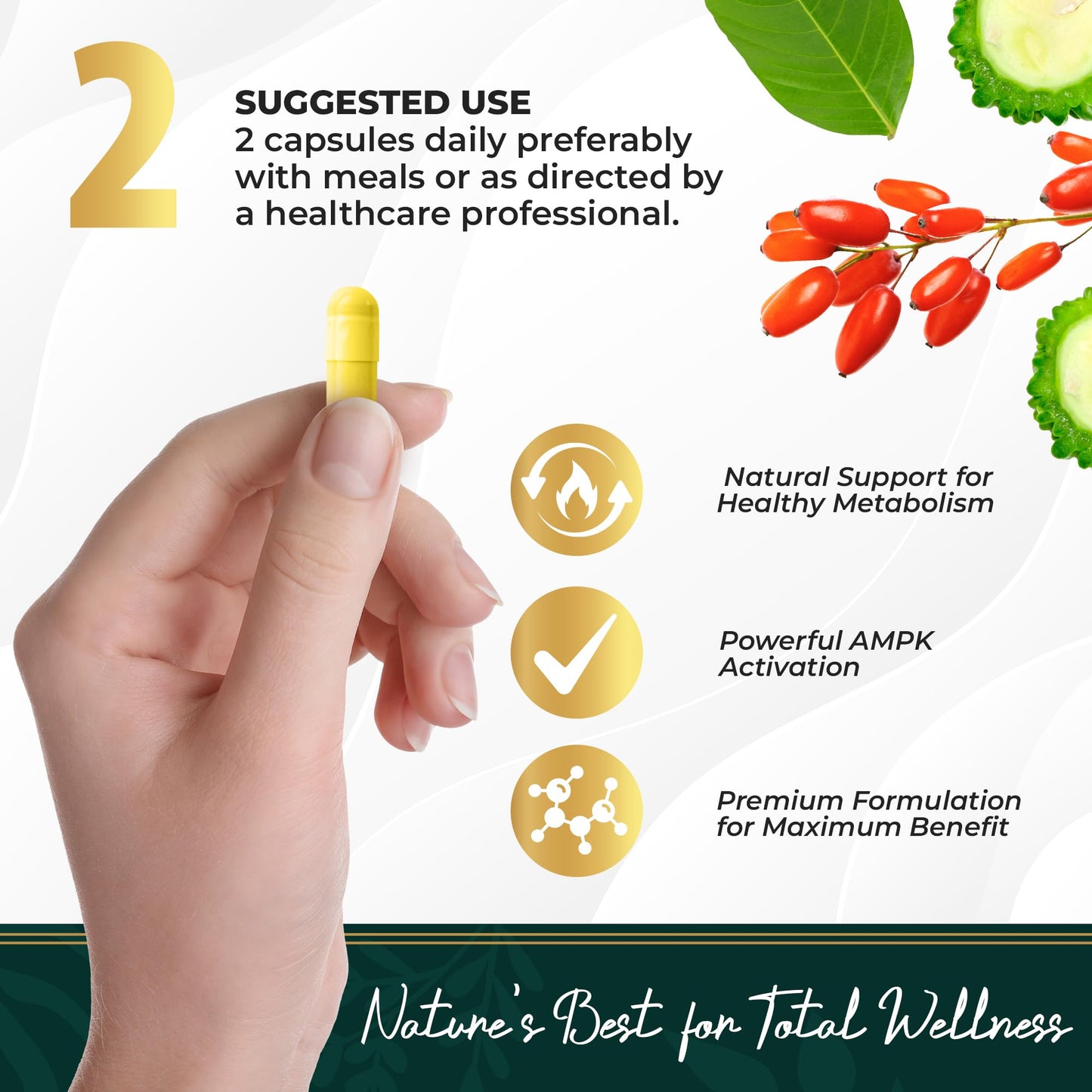 oliv Pure Berberine Supplement 60 Capsules