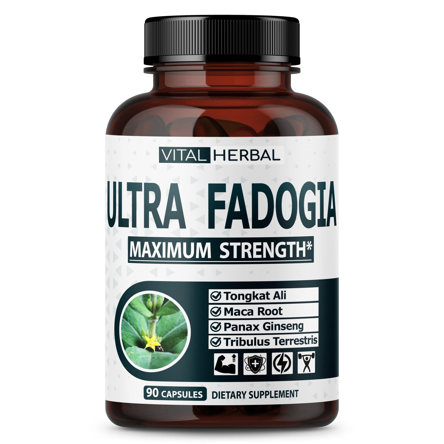 VITAL HERBAL Fadogia Agrestis with Tongkat Ali Capsules for Maximum Strength with Ginseng Maca Root Tribulus - Boost Energy & Muscle Builder, 90 Count