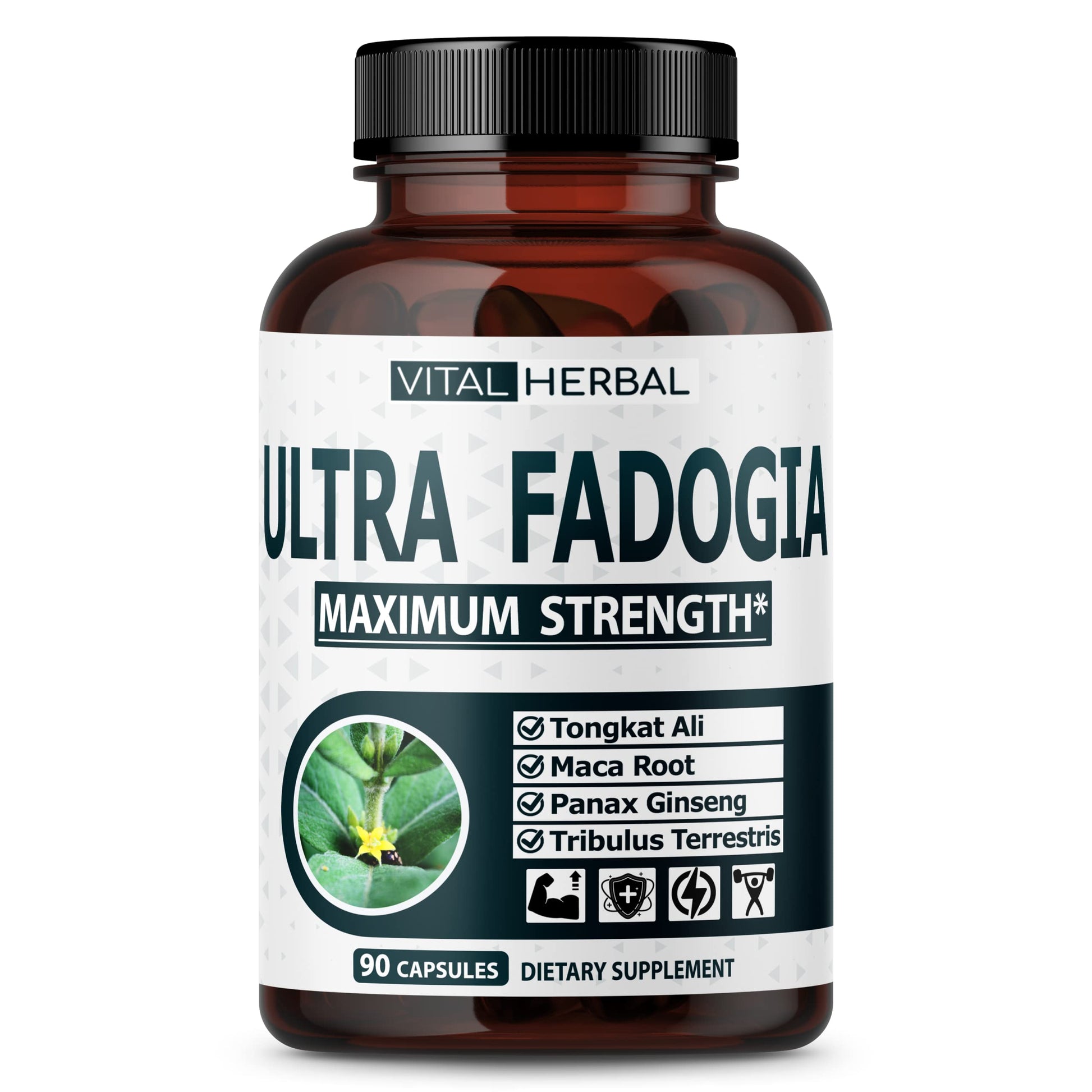 VITAL HERBAL Fadogia Agrestis with Tongkat Ali Capsules for Maximum Strength with Ginseng Maca Root Tribulus - Boost Energy & Muscle Builder, 90 Count