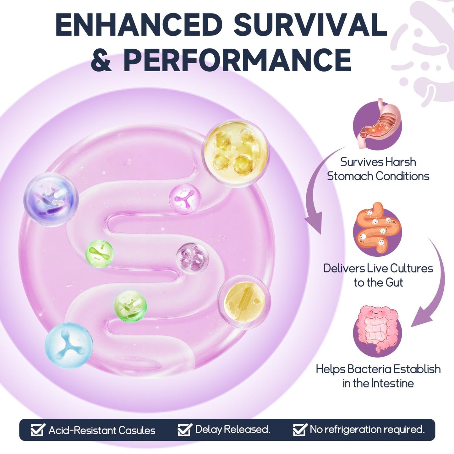 Totaria Magnesium Complex Supplement with Probiotics, Prebiotics & Digestive Enzymes Capsule, 120 Count