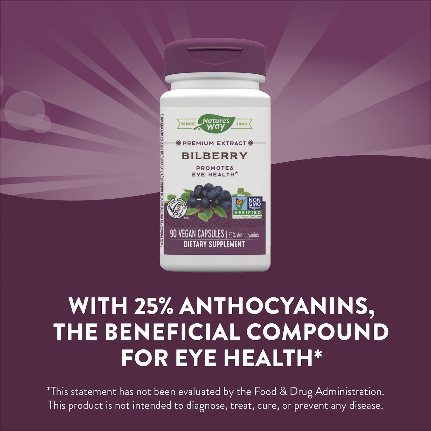 Nature's Way Bilberry Standardized Extract Capsules 90 Count