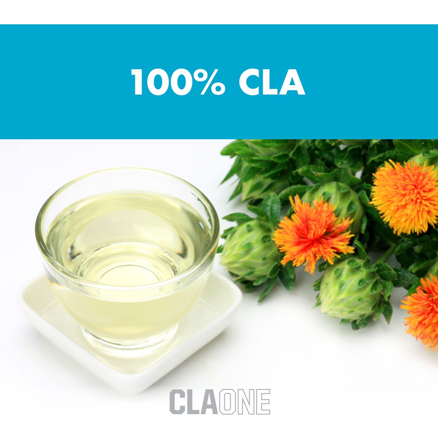 NutraOne CLAOne Supplement from Nutrition Conjugated Linoleic Acid (CLA) Natural Supplement Capsules 90 Count