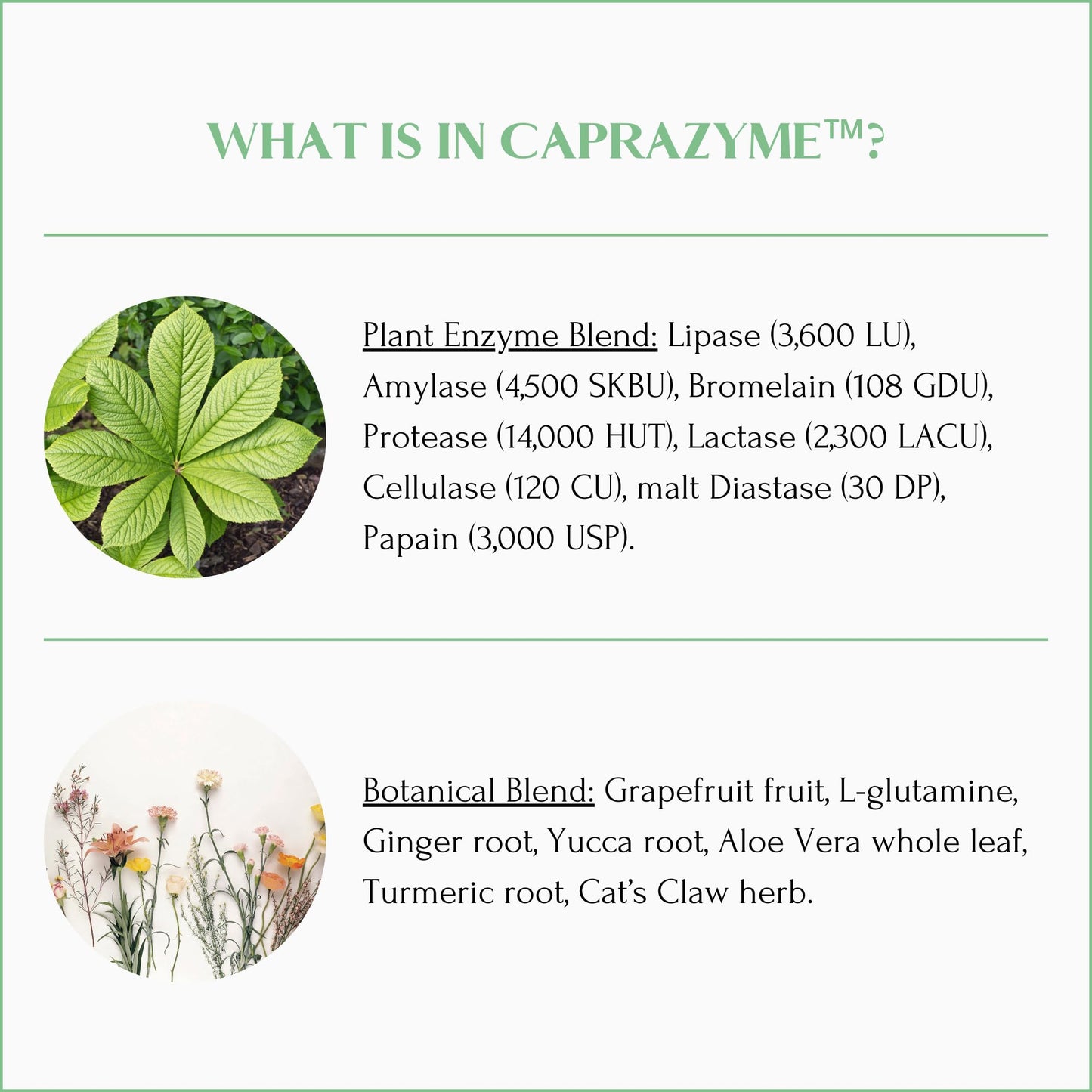 Mt. Capra CapraZyme Capsules 90
