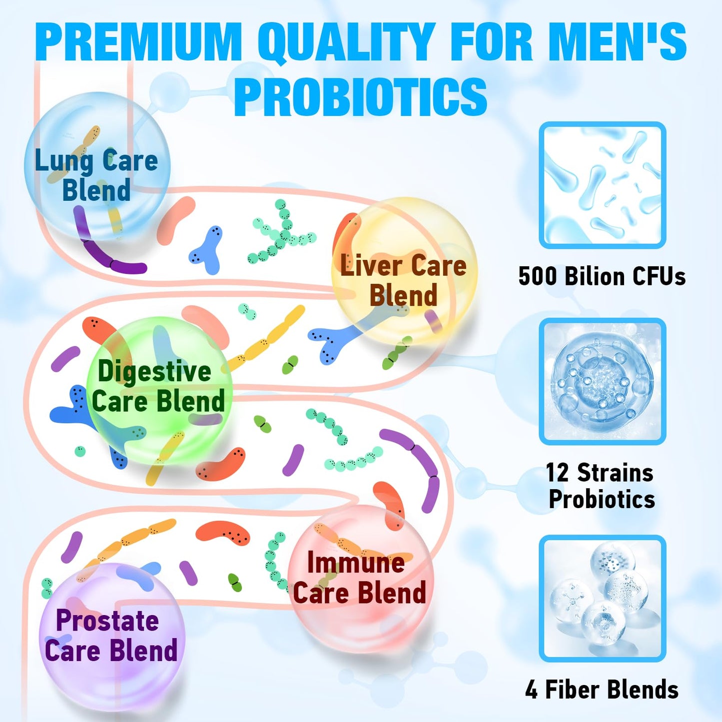 Edoempe Probiotics for Men 500 Billion CFUs 12 Strains Probiotic Capsule, 60 Capsules