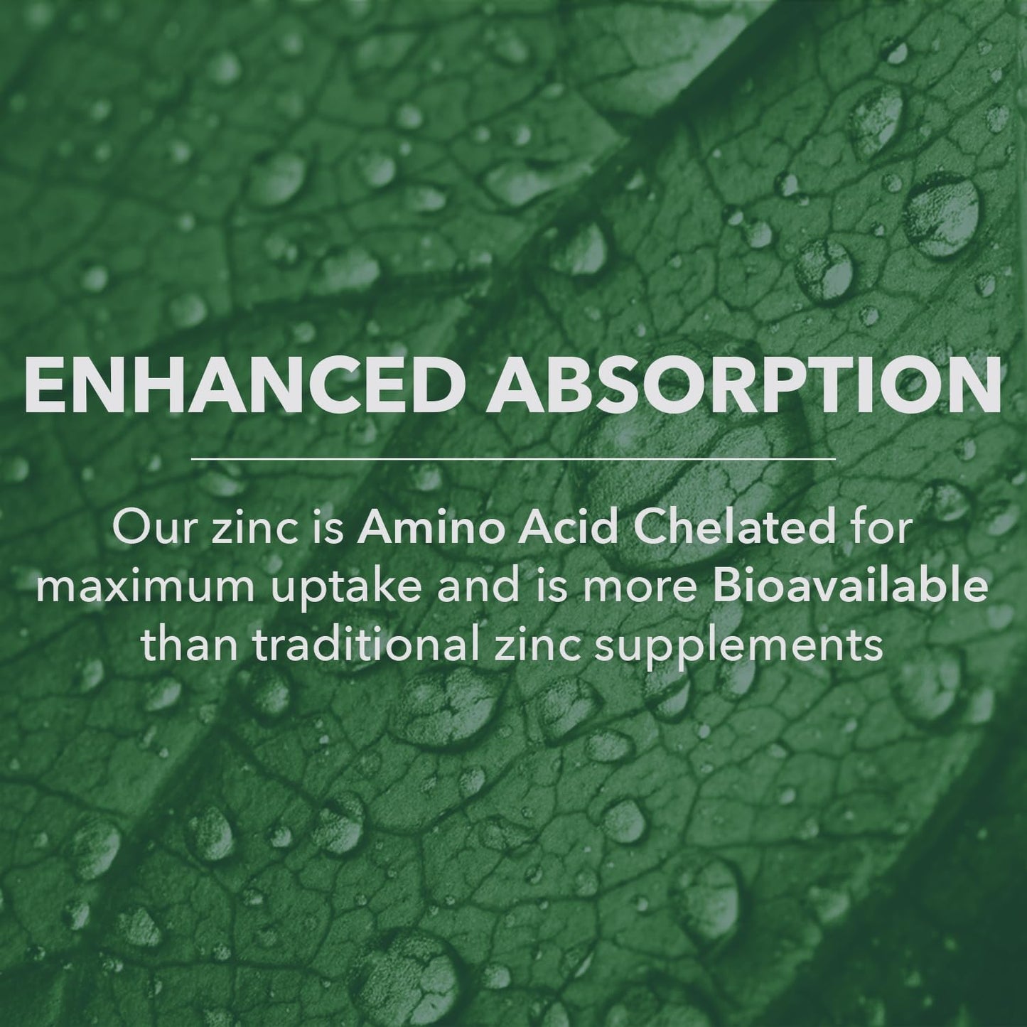 PlantFusion Vegan Zinc Supplements 22 mg Wholefood Complex, Chelated Zinc Citrate from Organic Guava Leaf for Immune Support, 60 Capsules
