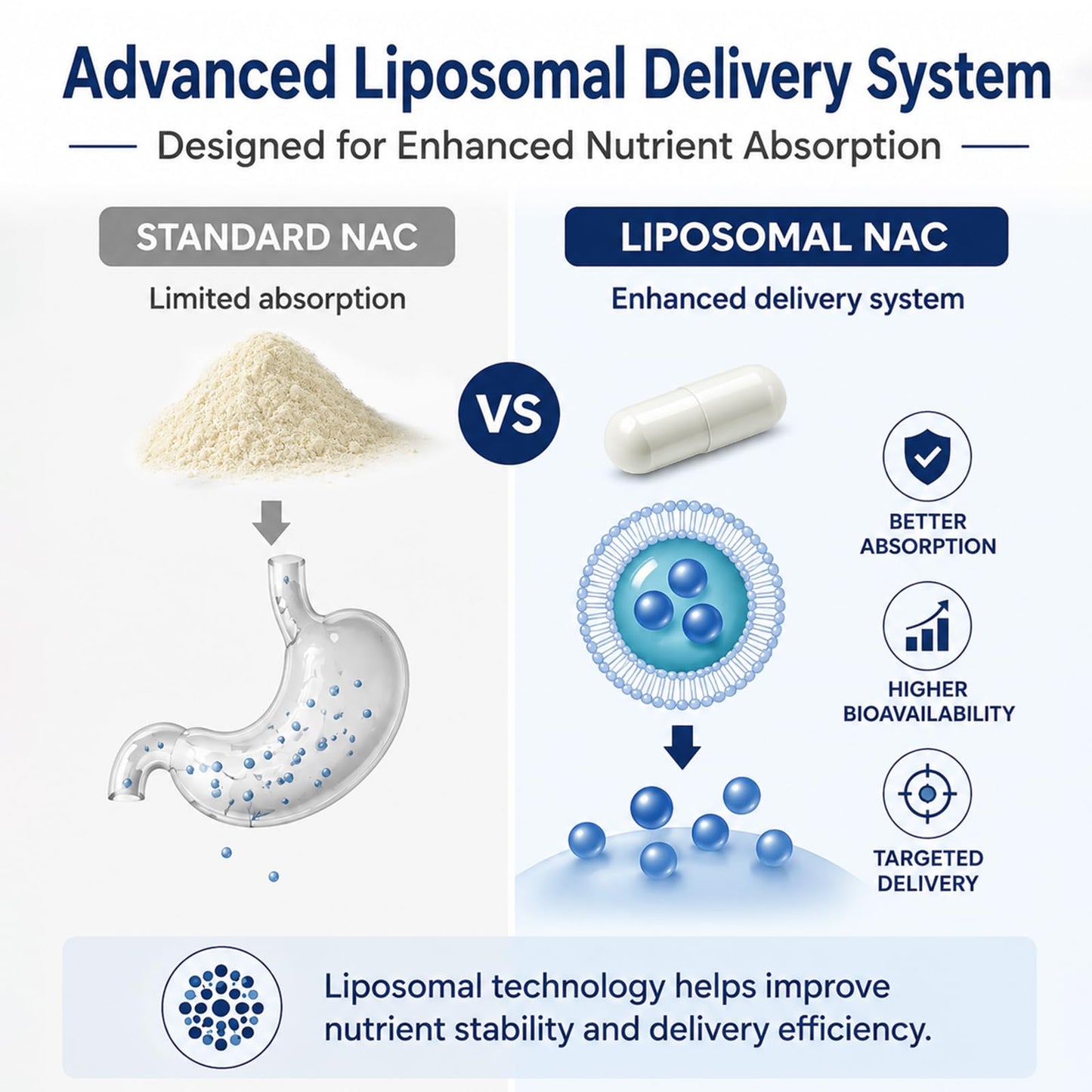 Halpilt ORVIA Labs Liposomal NAC Supplement Capsule, 60 Capsules