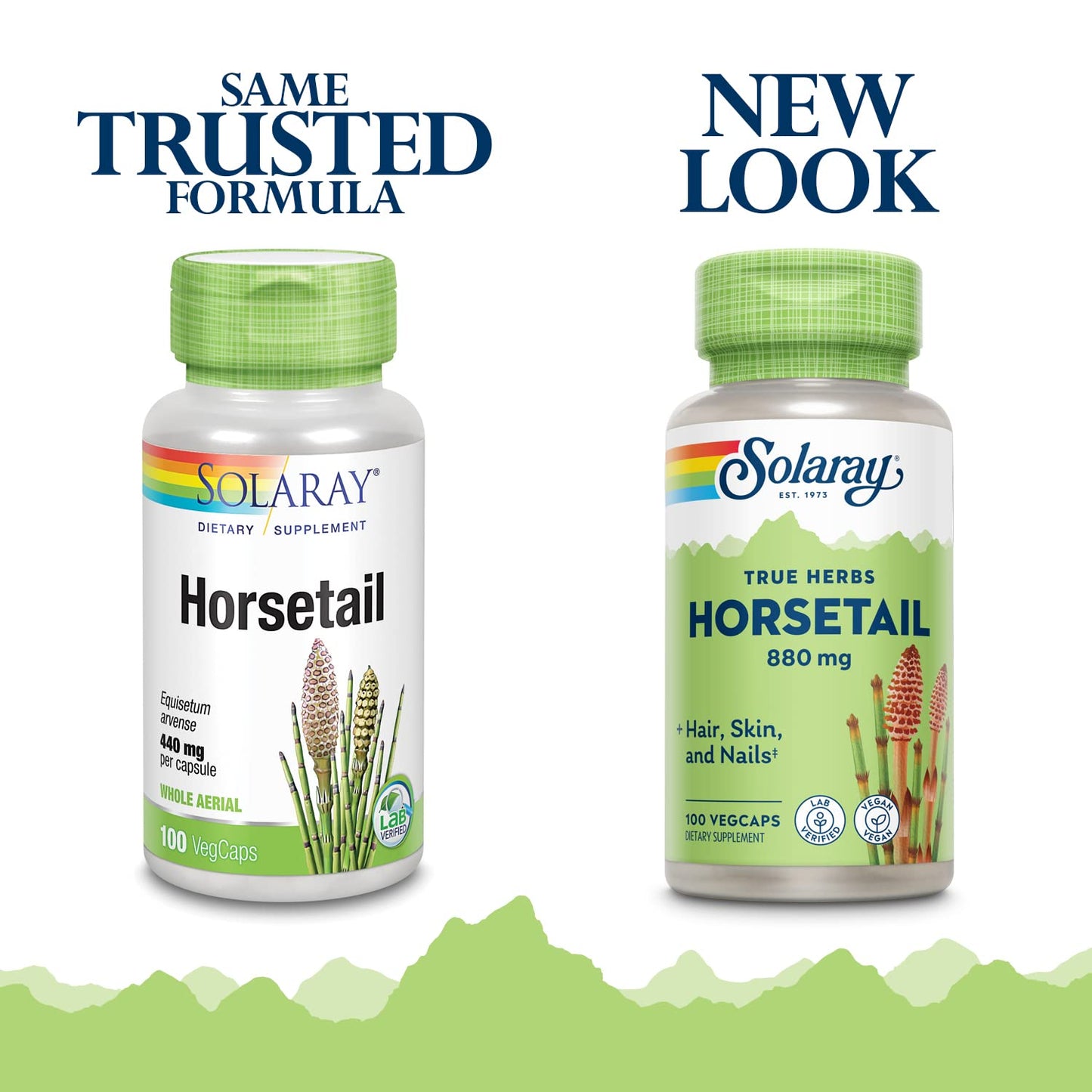 Solaray Horsetail 880 mg Capsules, 100 Count