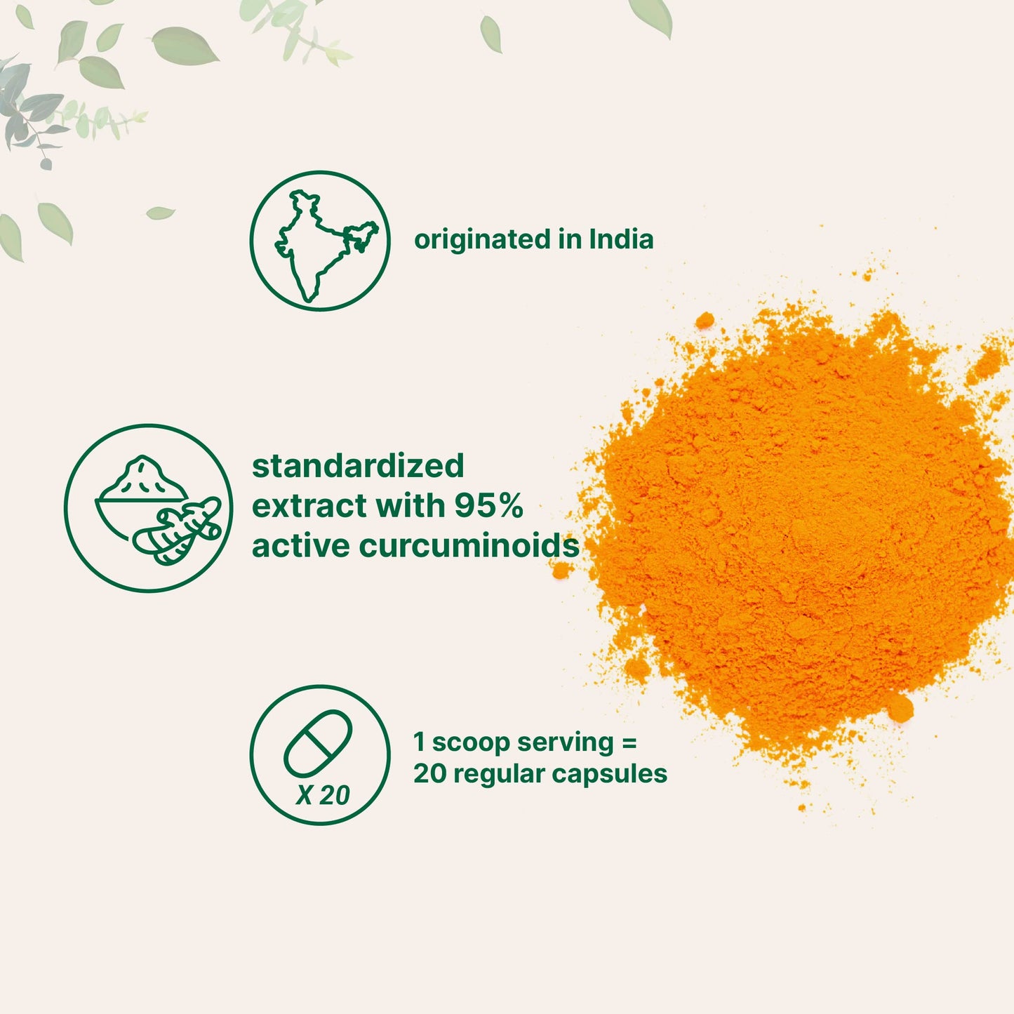 Micro Ingredients Turmeric Curcumin Powder, 3.53 oz