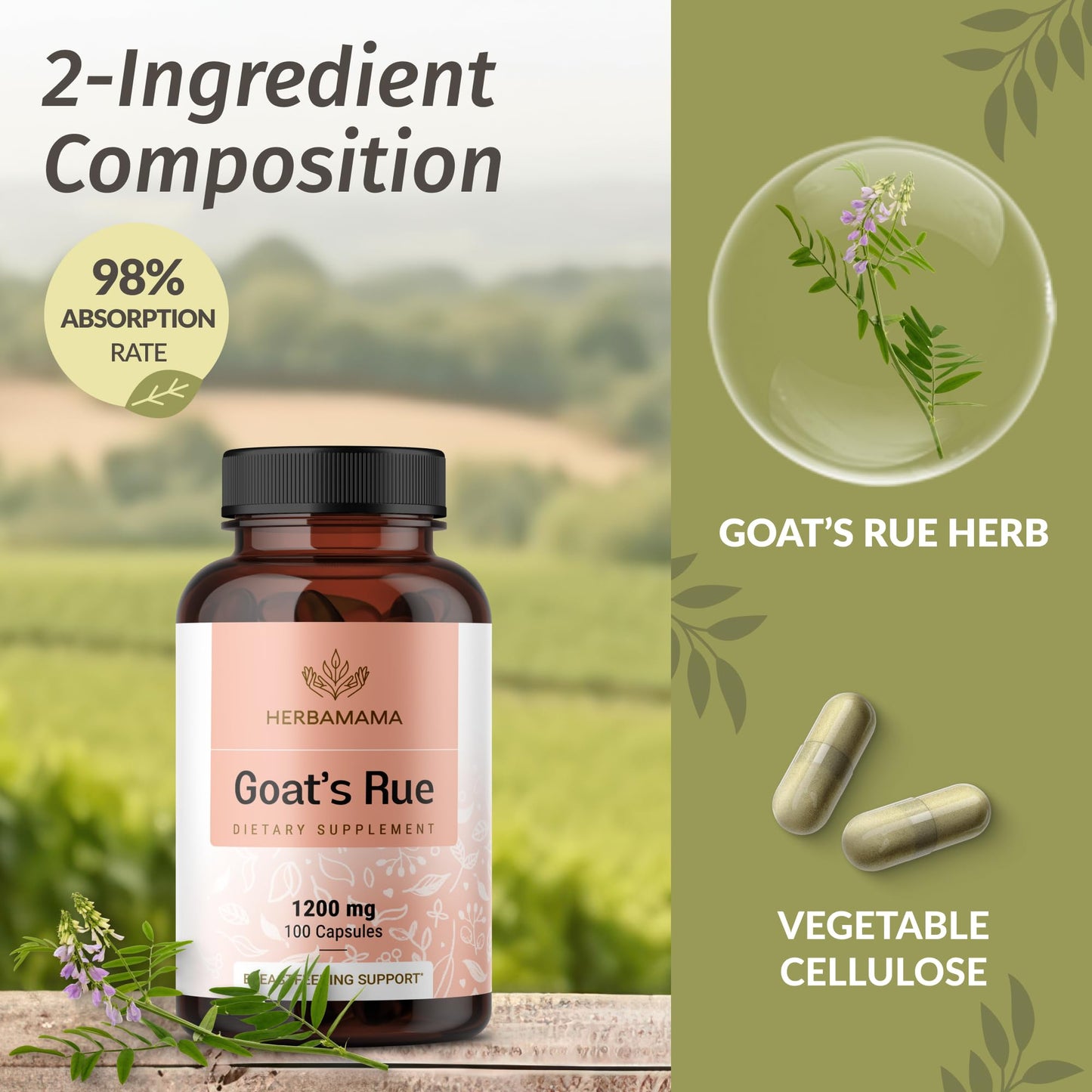 HERBAMAMA Goat's Rue Capsules 100 Count