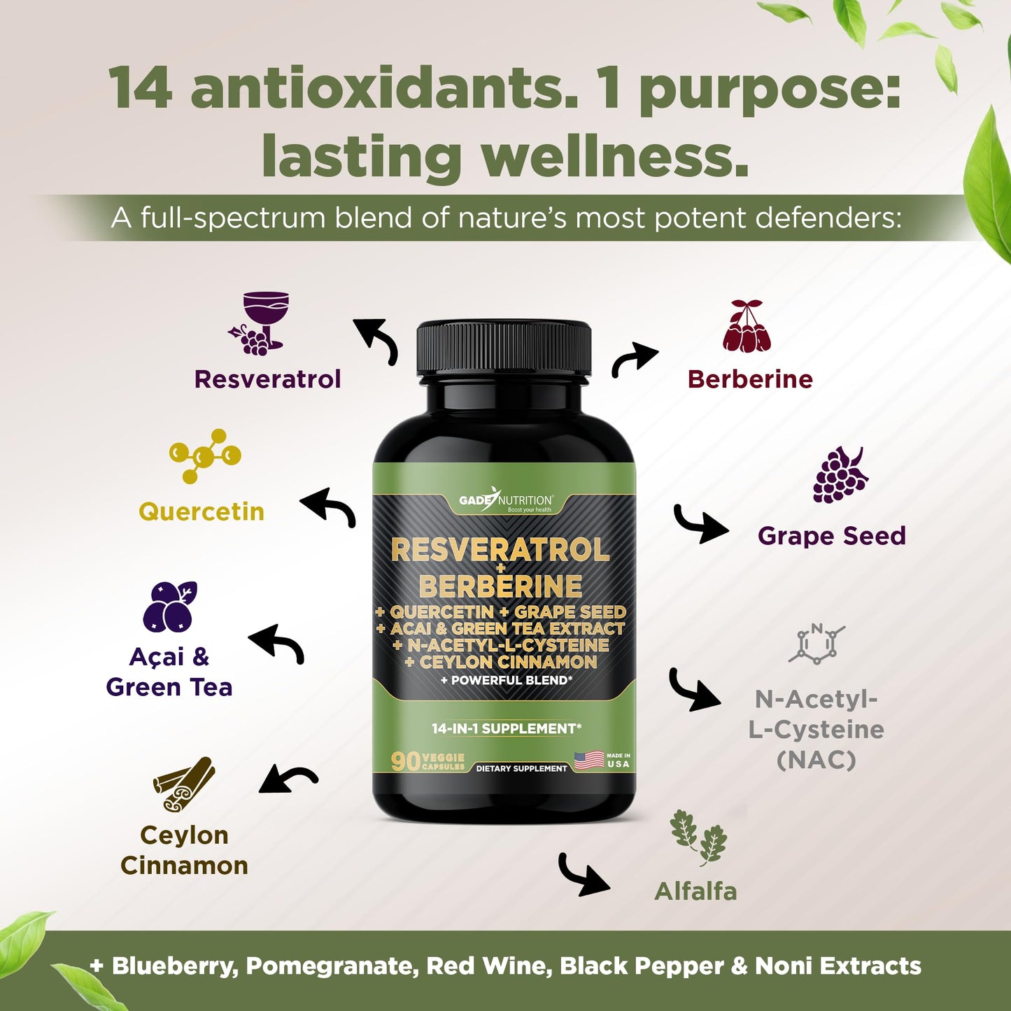 GADE NUTRITION BOOST YOUR HEALTH Resveratrol Berberine Quercetin Grape Seed Extract Green Tea Extract N-Acetyl Cysteine - 14 in 1 Complex Supplement for Women & Men with Potent Antioxidants 90 Capsules
