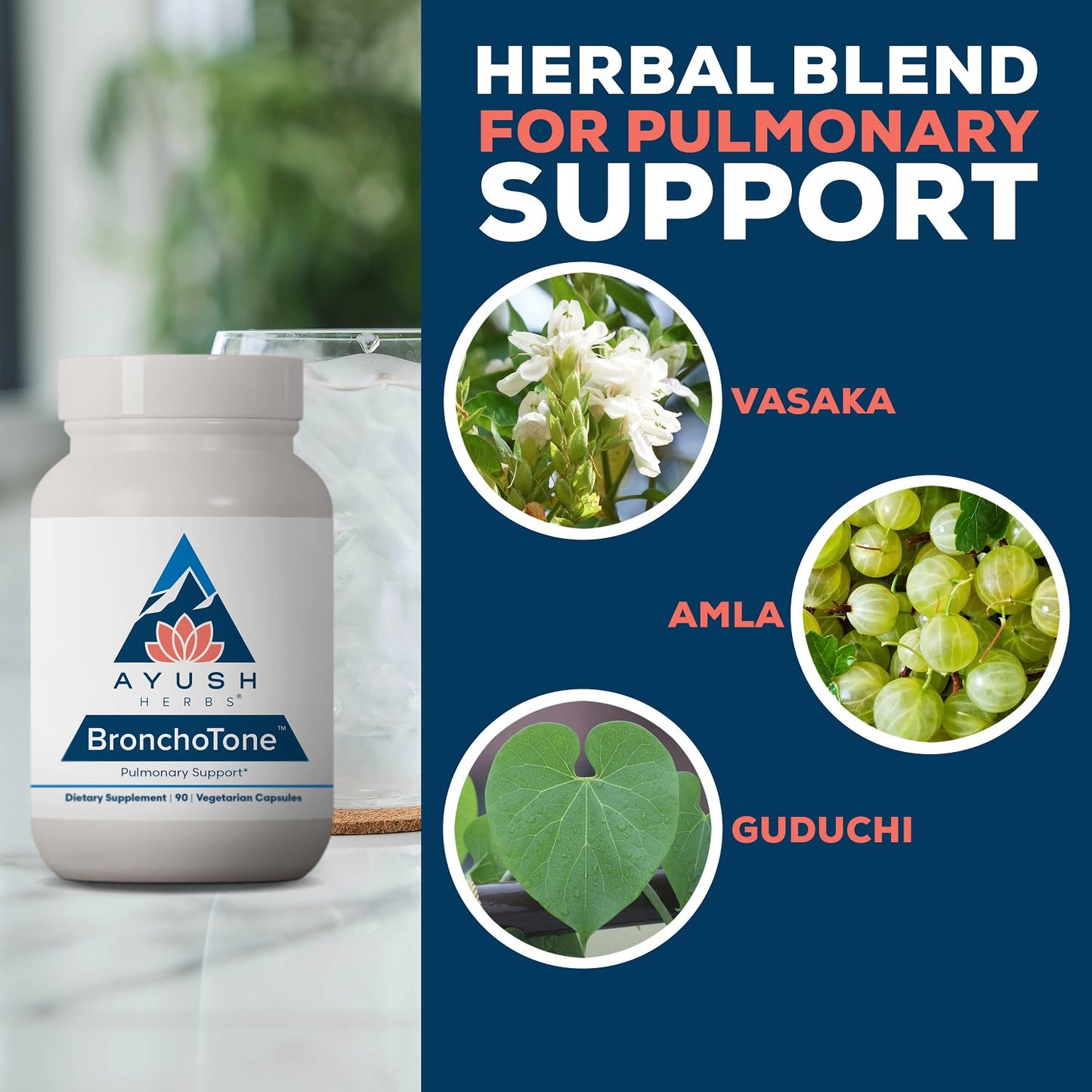 Ayush Herbs Bronchotone Bronchial Support 90 Capsules