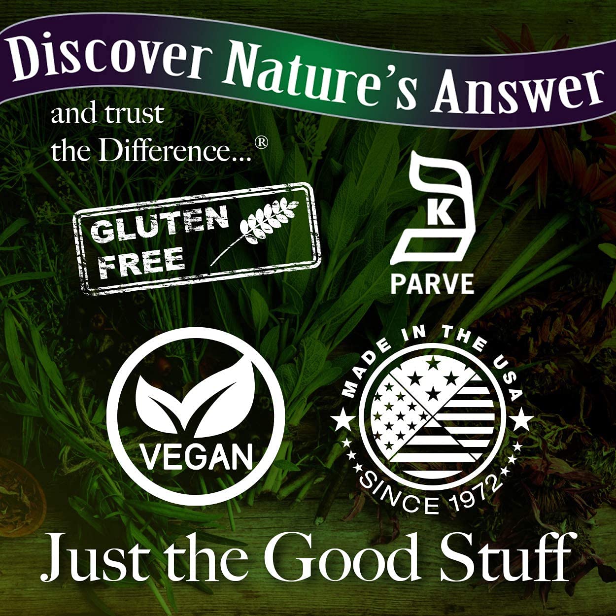 Nature's Answer Butcher's Broom Root Supplement Capsules 90 Count