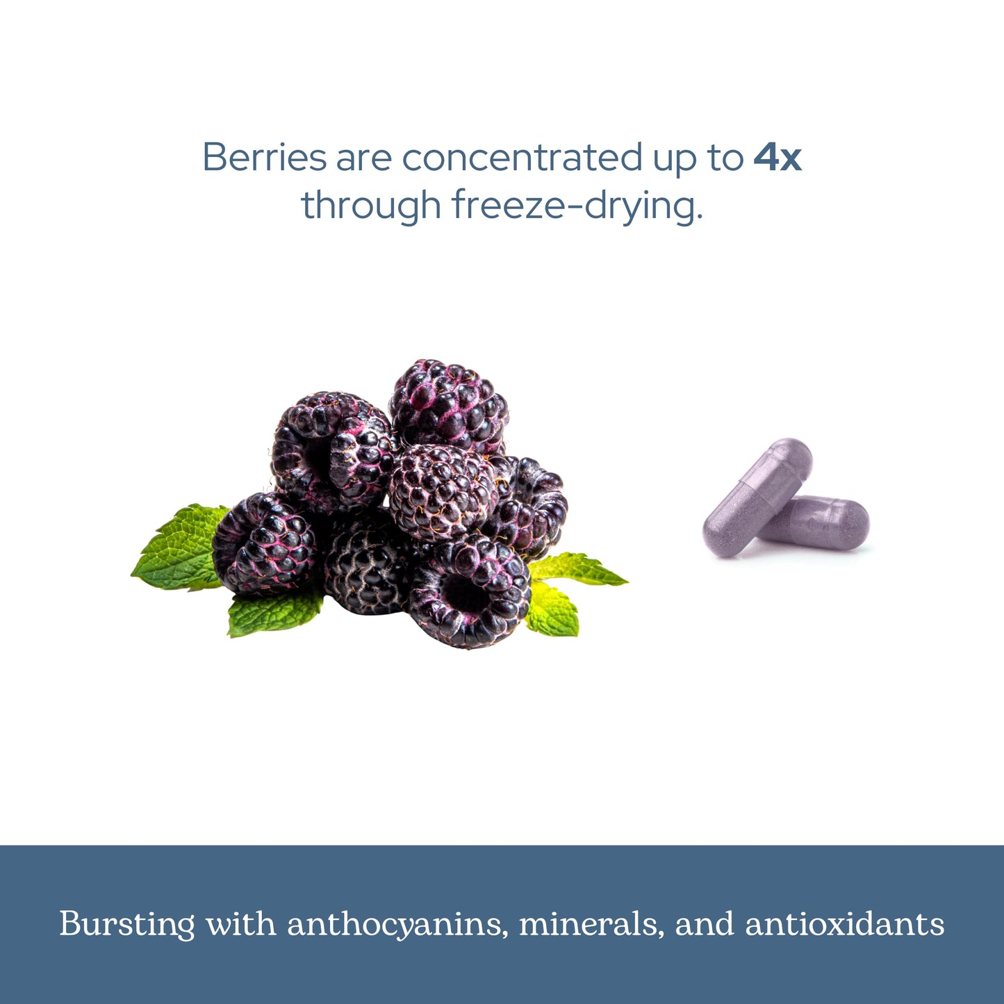 ECLECTIC INSTITUTE Eclectic Herb - Black Raspberry Capsules 90 Count
