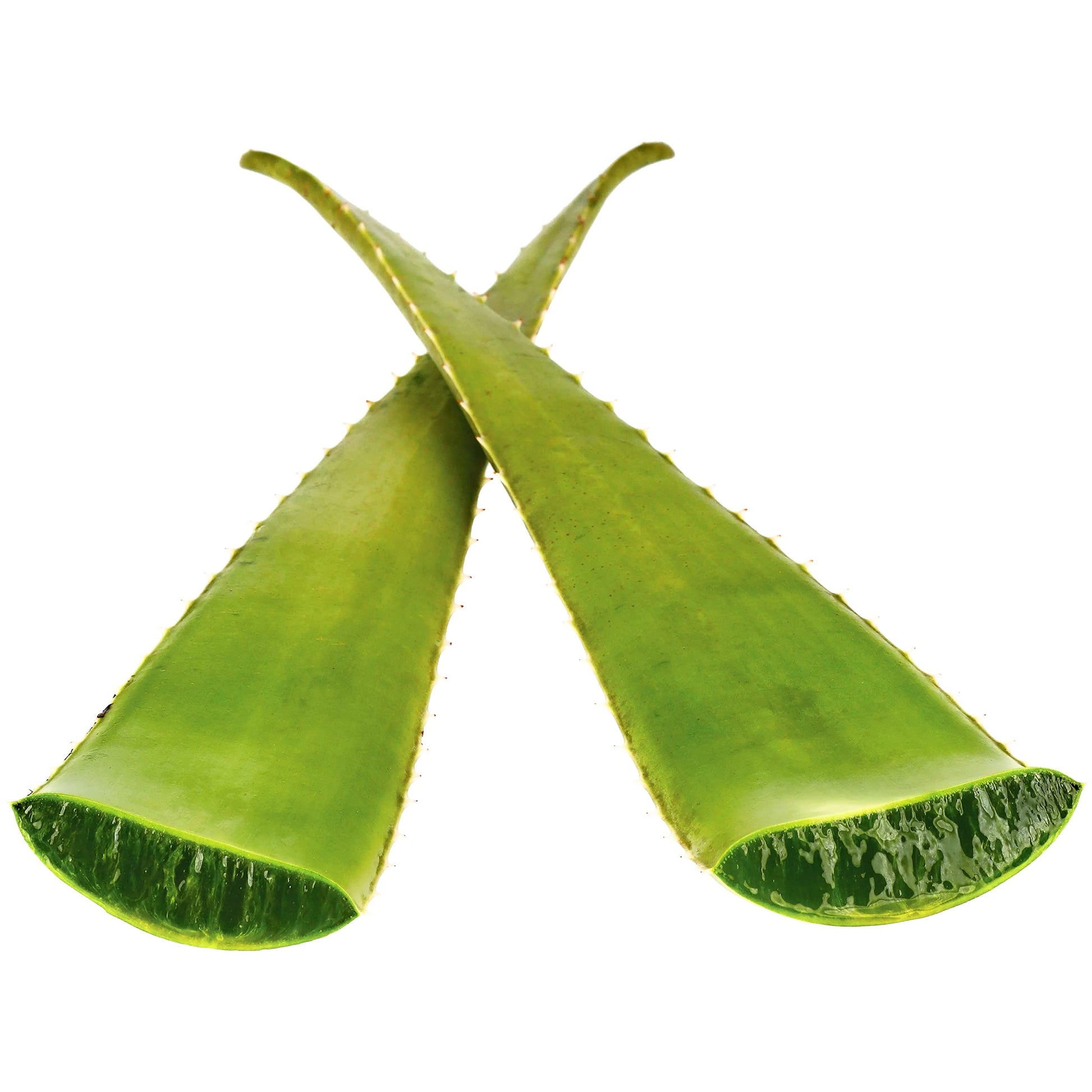 Greenhouse PCA Aloe Vera Capsule/Liquid 1