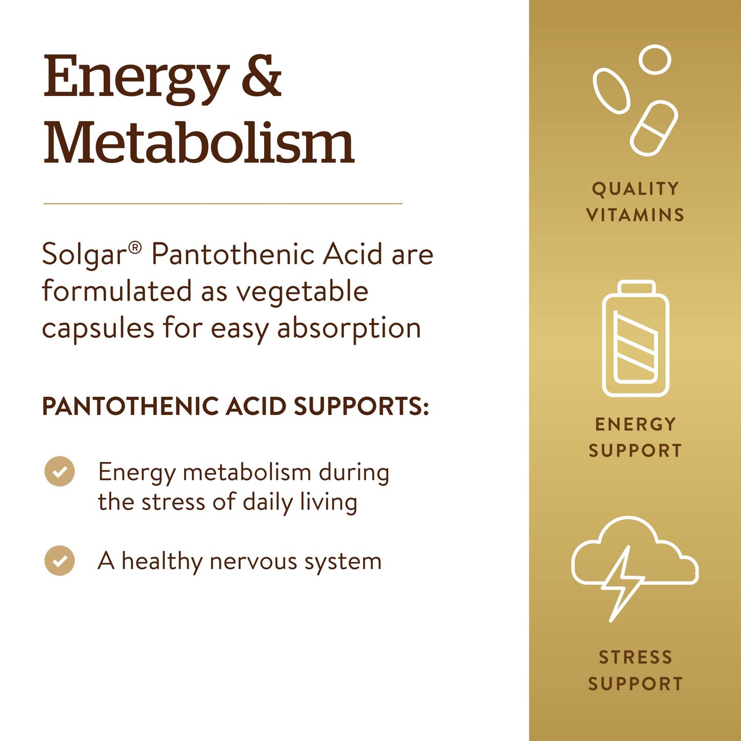 Solgar Pantothenic Acid 550 mg Vegetable Capsules, 100 Count