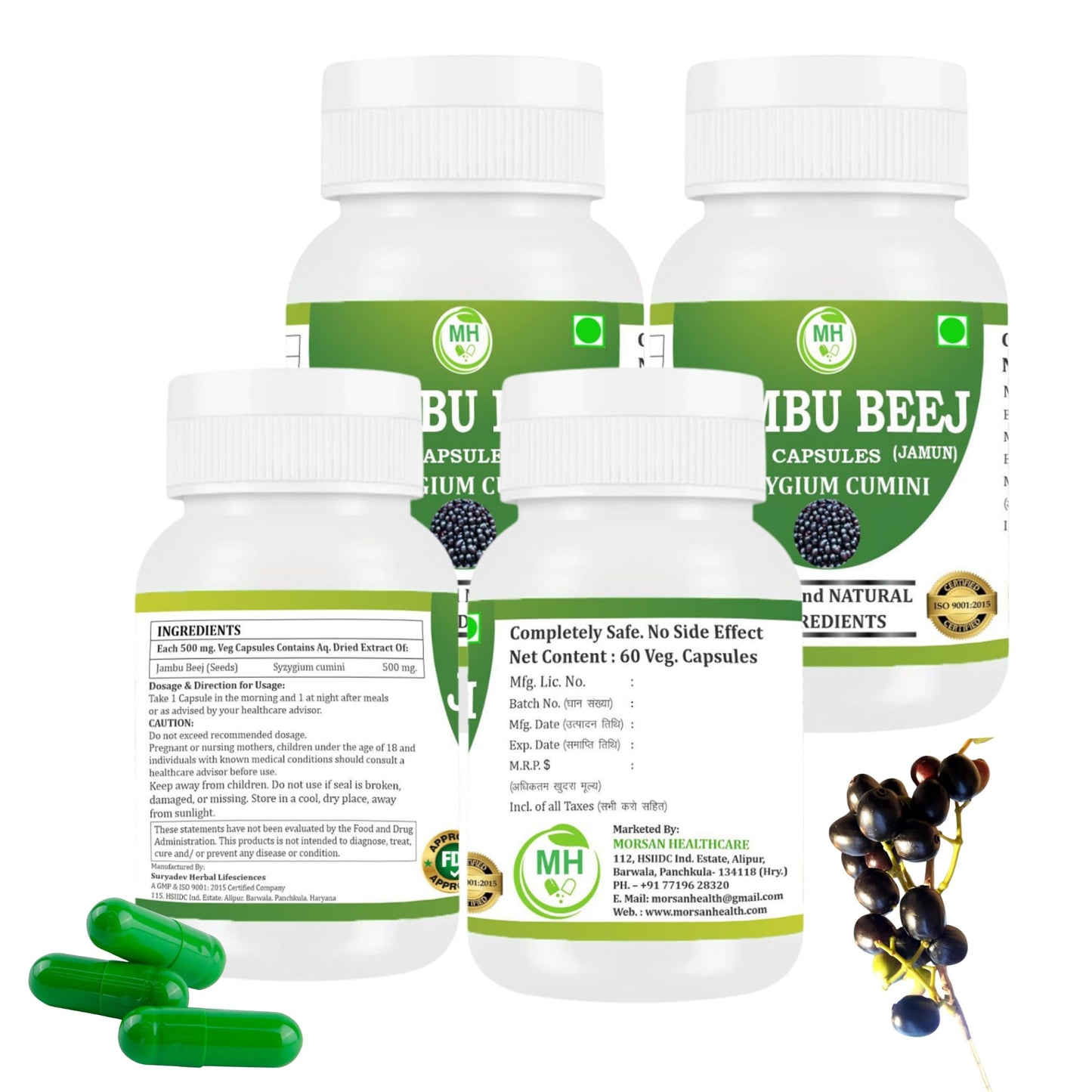 Generic Jambu Beej (Syzygium cumini) Capsules, 240 Capsules