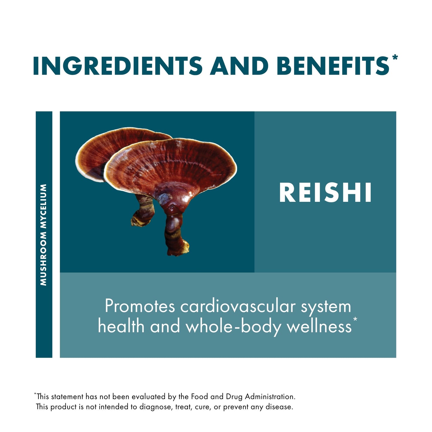 Host Defense Reishi Powder 3.5 oz