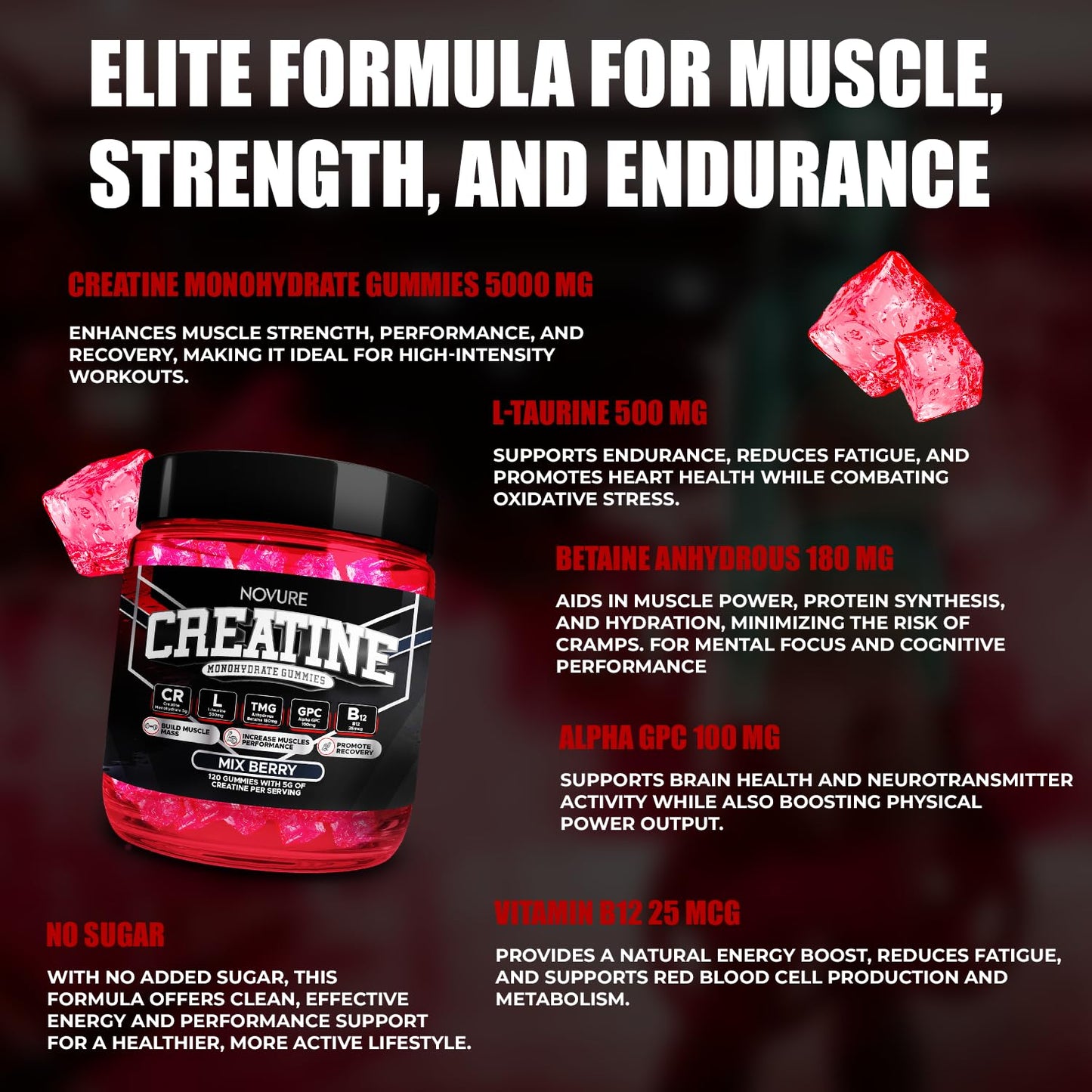 Novure Creatine Monohydrate Gummies 5000mg – Advanced Muscle & Focus Blend with Alpha GPC, B12 & Taurine – Vegan, Sugar-Free, Blueberry & Raspberry Flavors – Made in USA, 120 Gummies