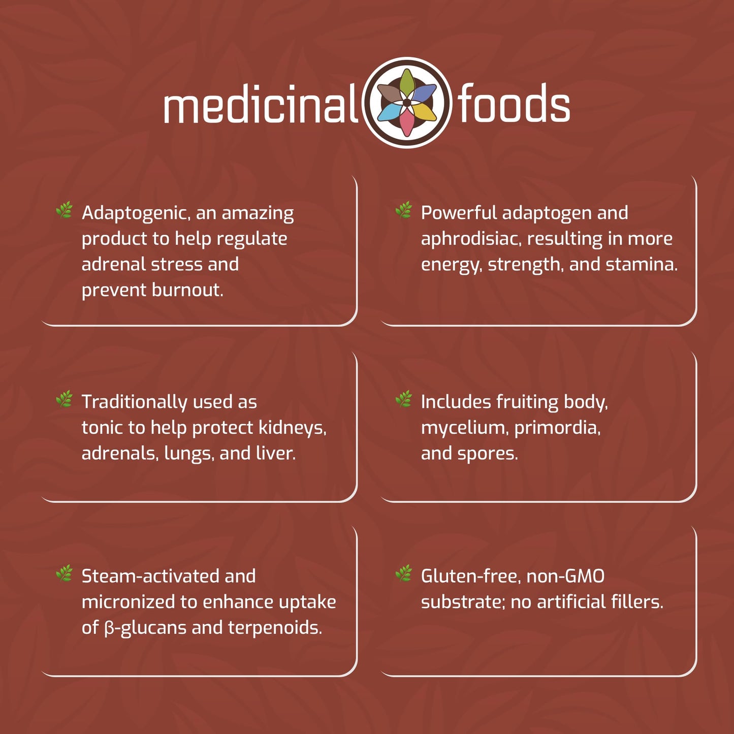 MEDICINAL FOODS THE ANCIENT FUTURE OF FOOD Lion’s Mane Capsules 90 Count